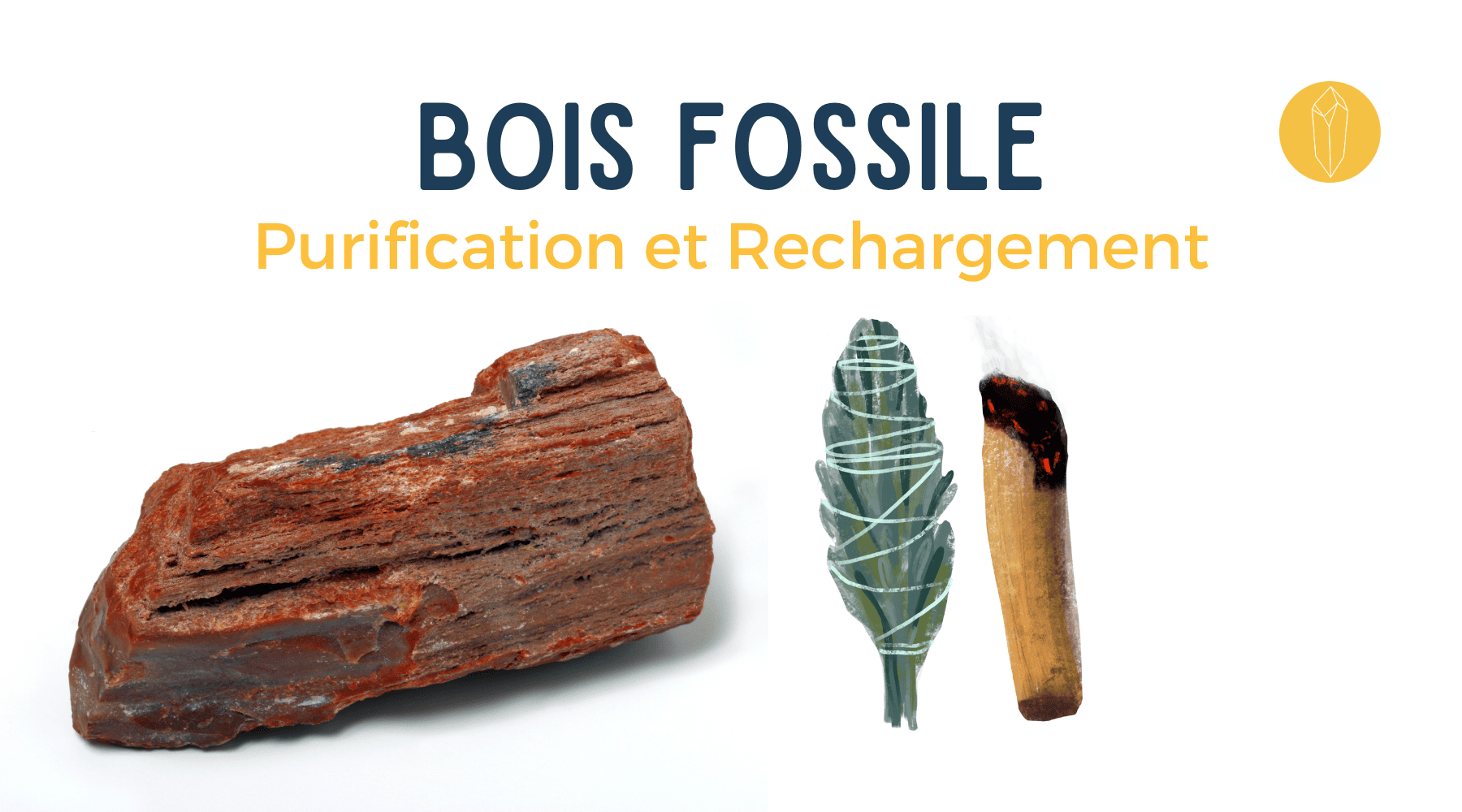 Bois fossile purification et rechargement