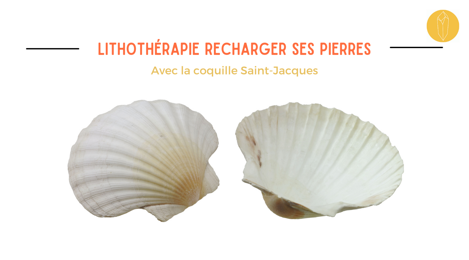recharger ses pierres avec une coquille saint jacques
