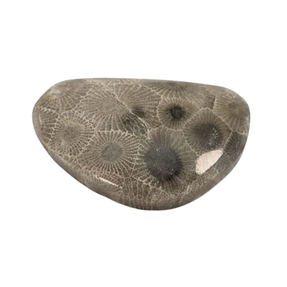 Petoskey vertus