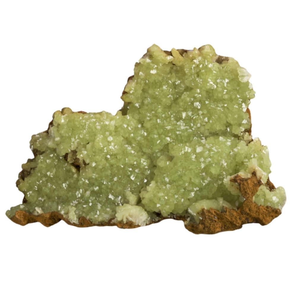 Adamite vertus