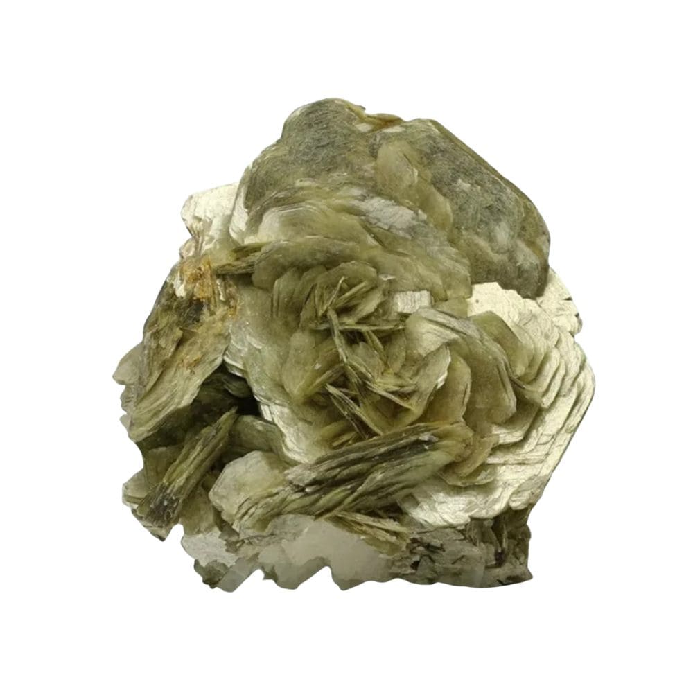 Muscovite vertus