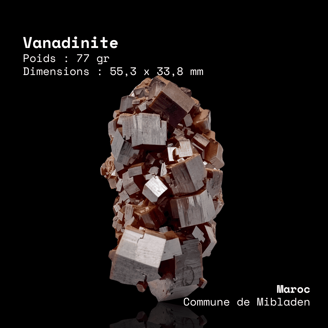Vanadinite Cristallisée en Grappe (77g) - Mibladen, Maroc
