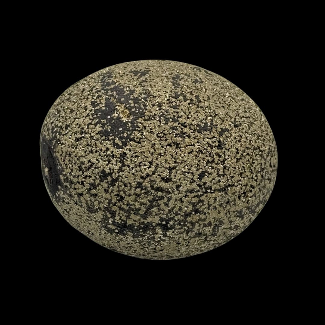 Nodule de Schiste et Pyrite - Égypte