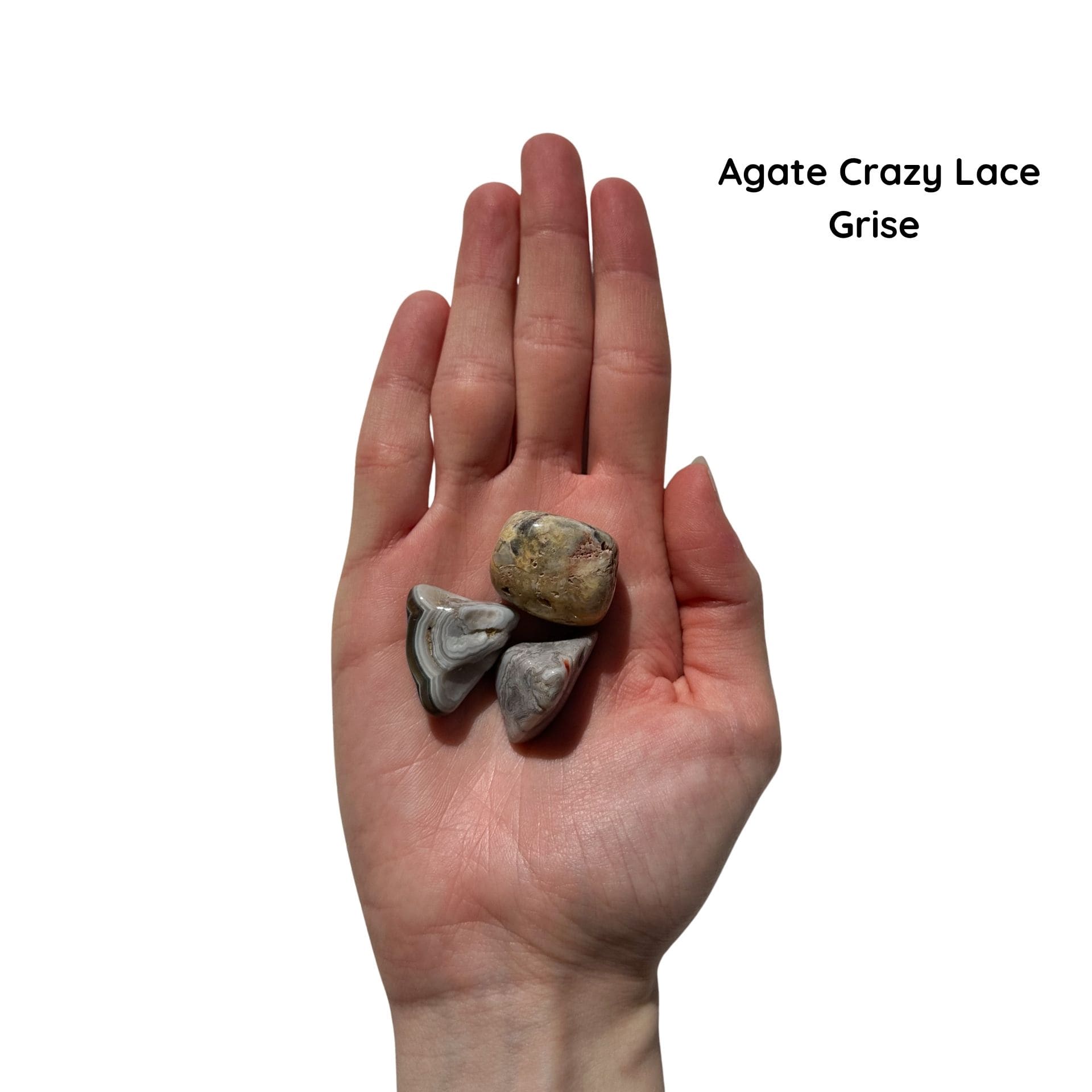 crazy lace rouge grise