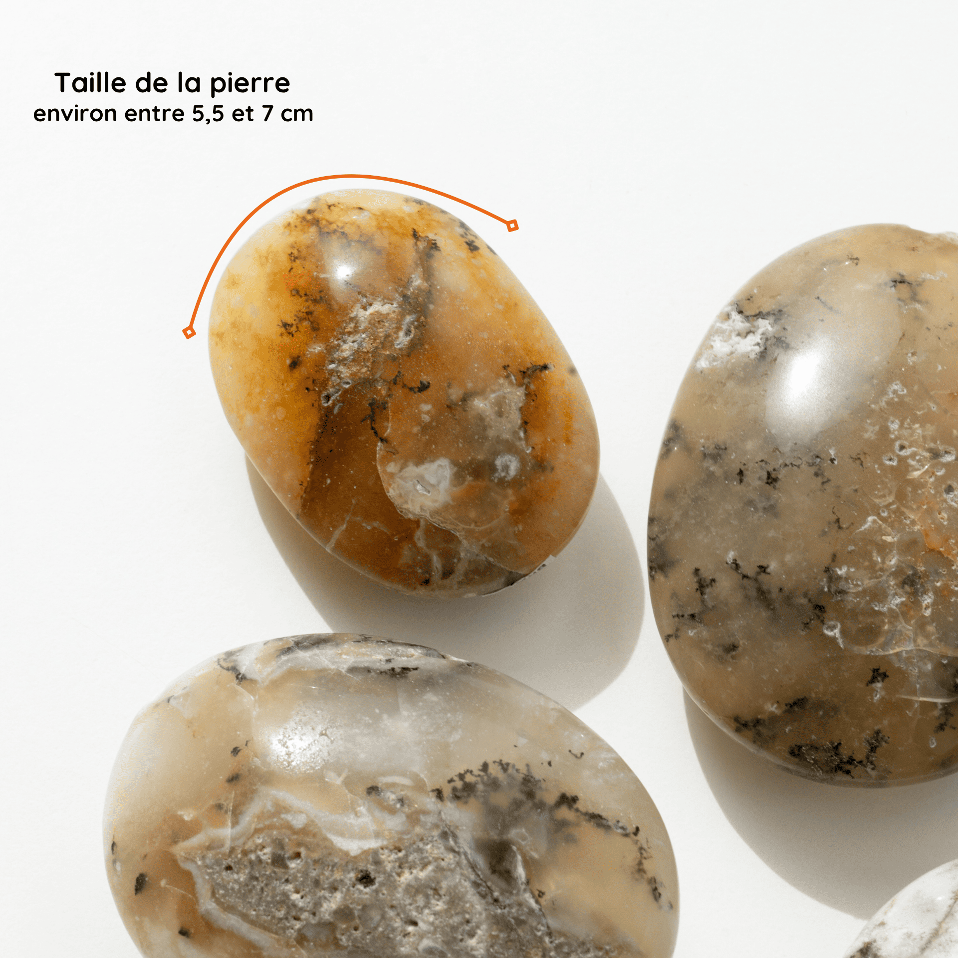 Agate Dendritique vertus taille