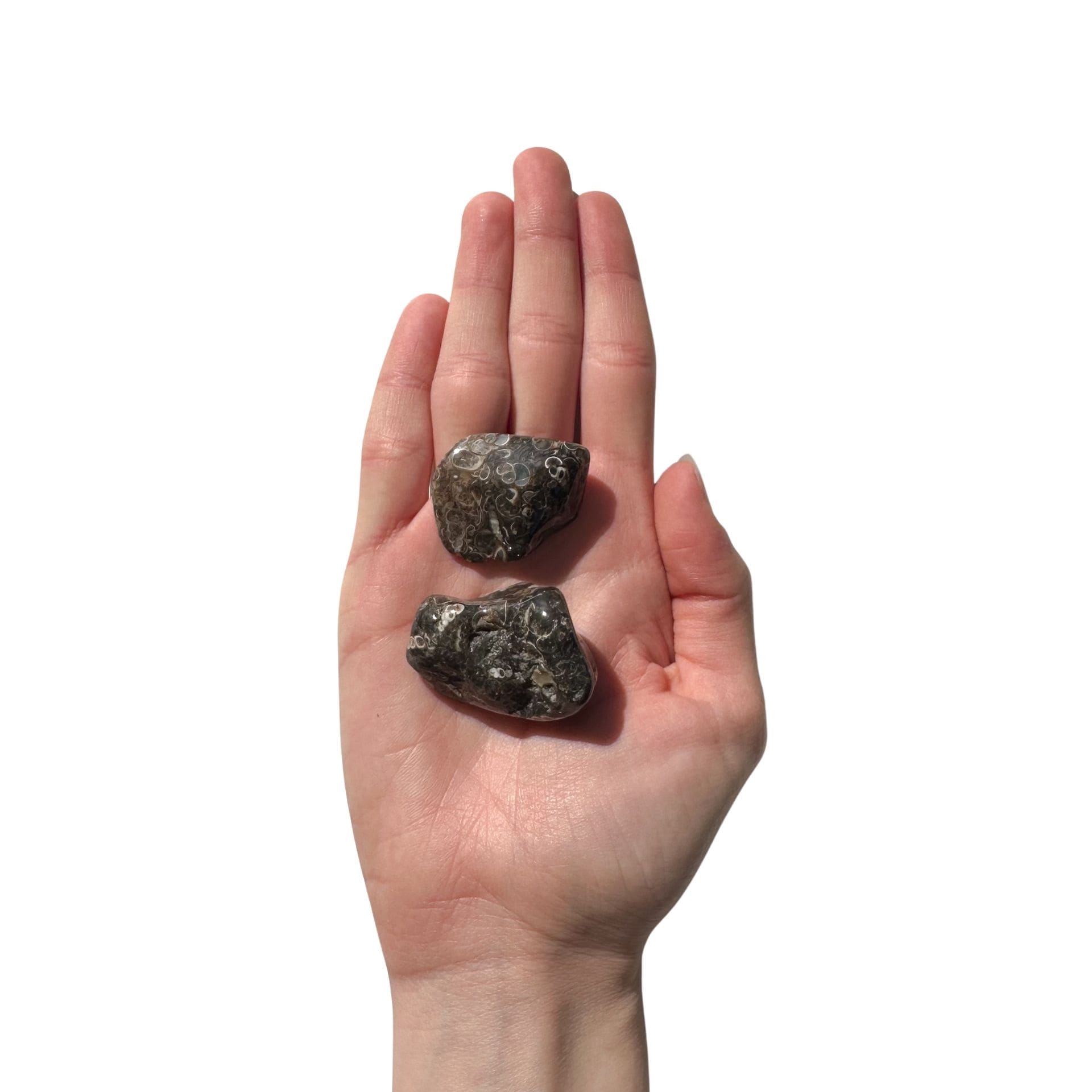 Agate Turitelle mains