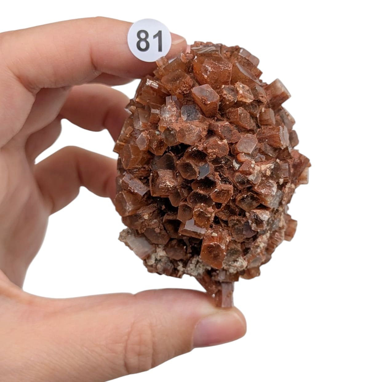Aragonite Naturelle – Stabilité et Ancrage
