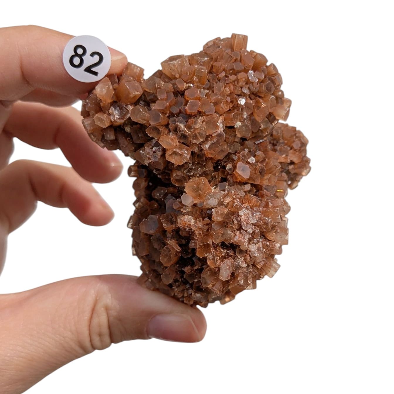 Aragonite Naturelle – Stabilité et Ancrage