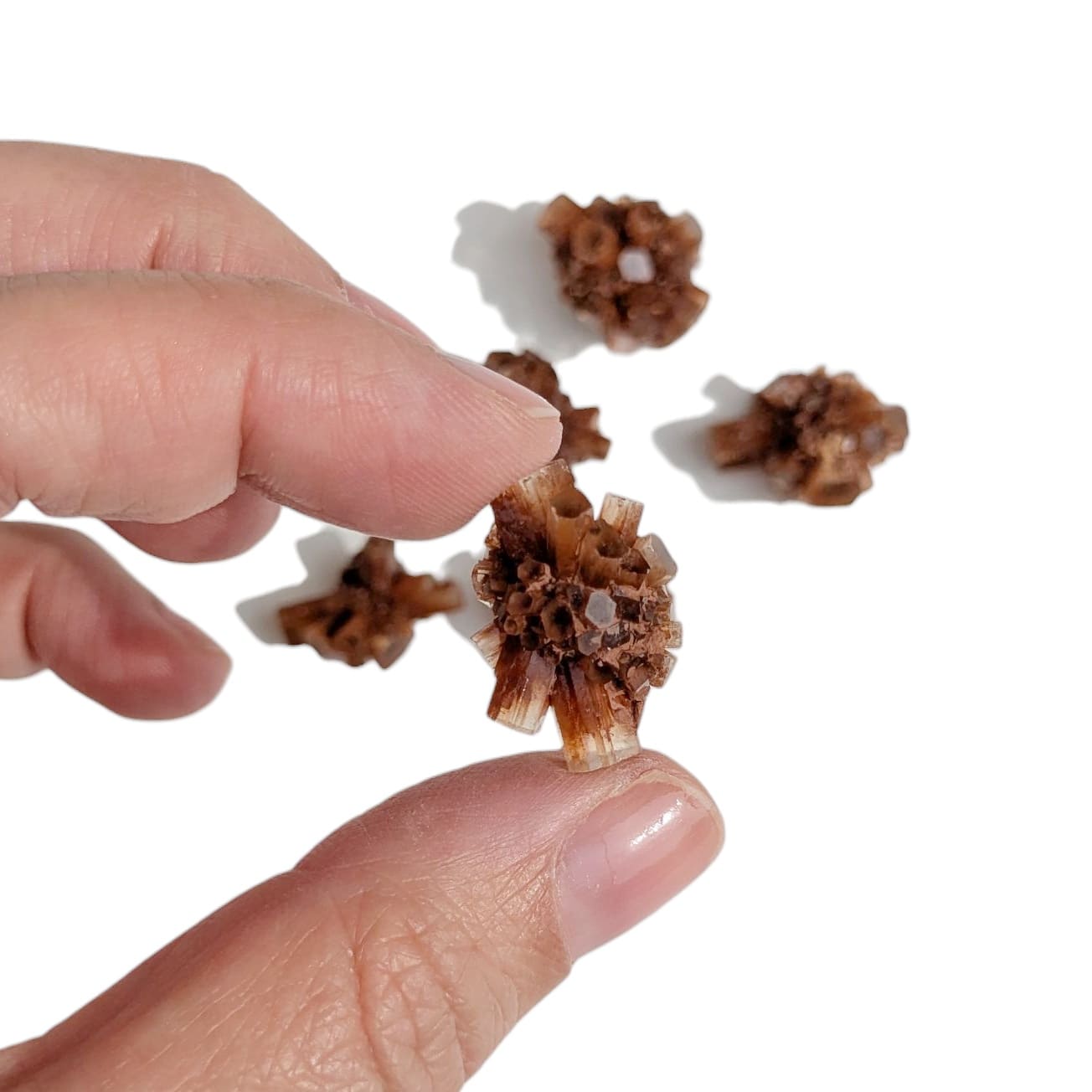 Aragonite Naturelle – Stabilité et Ancrage