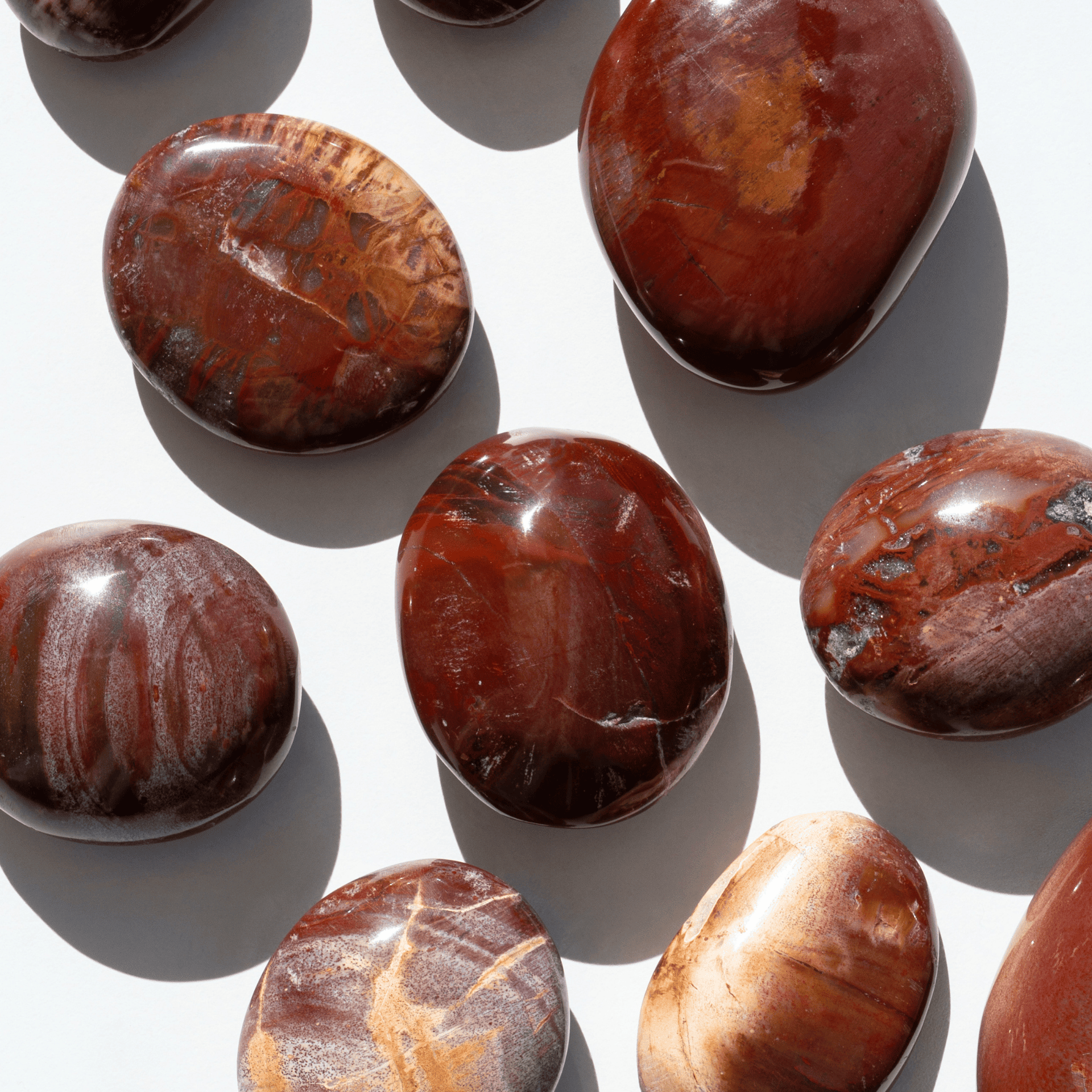 Galet Bois Fossile Zoom