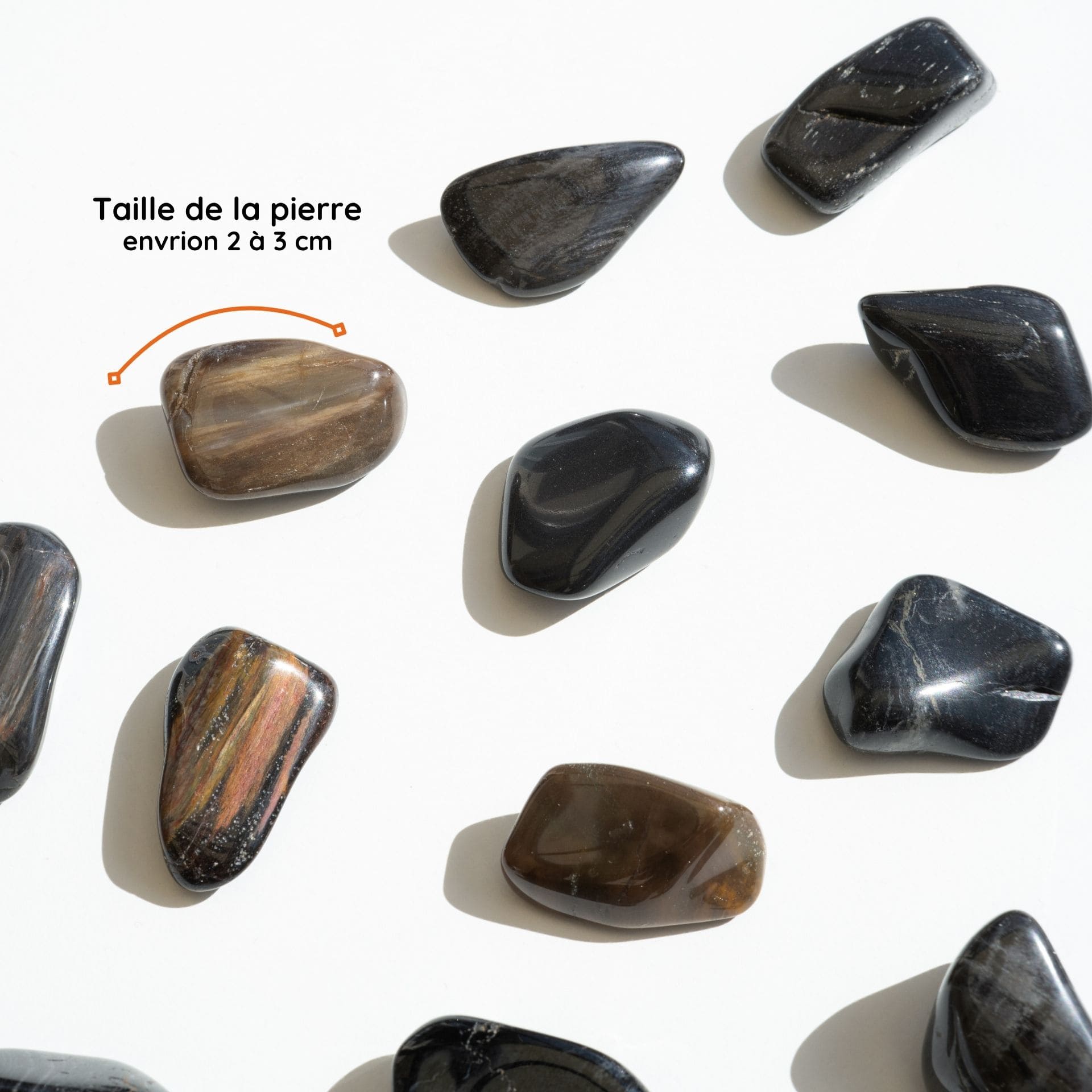 Bois fossile gris taille