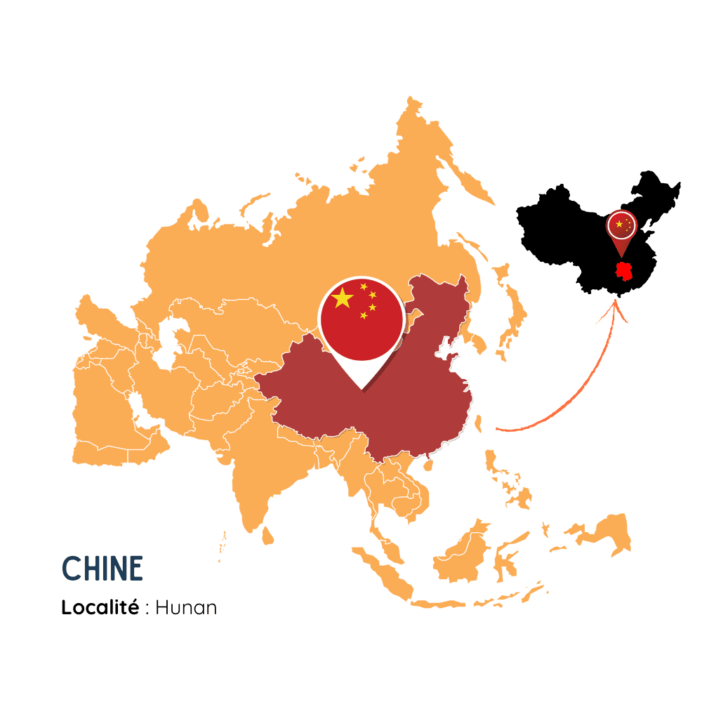 Fluorite bicolore 2,85 carats