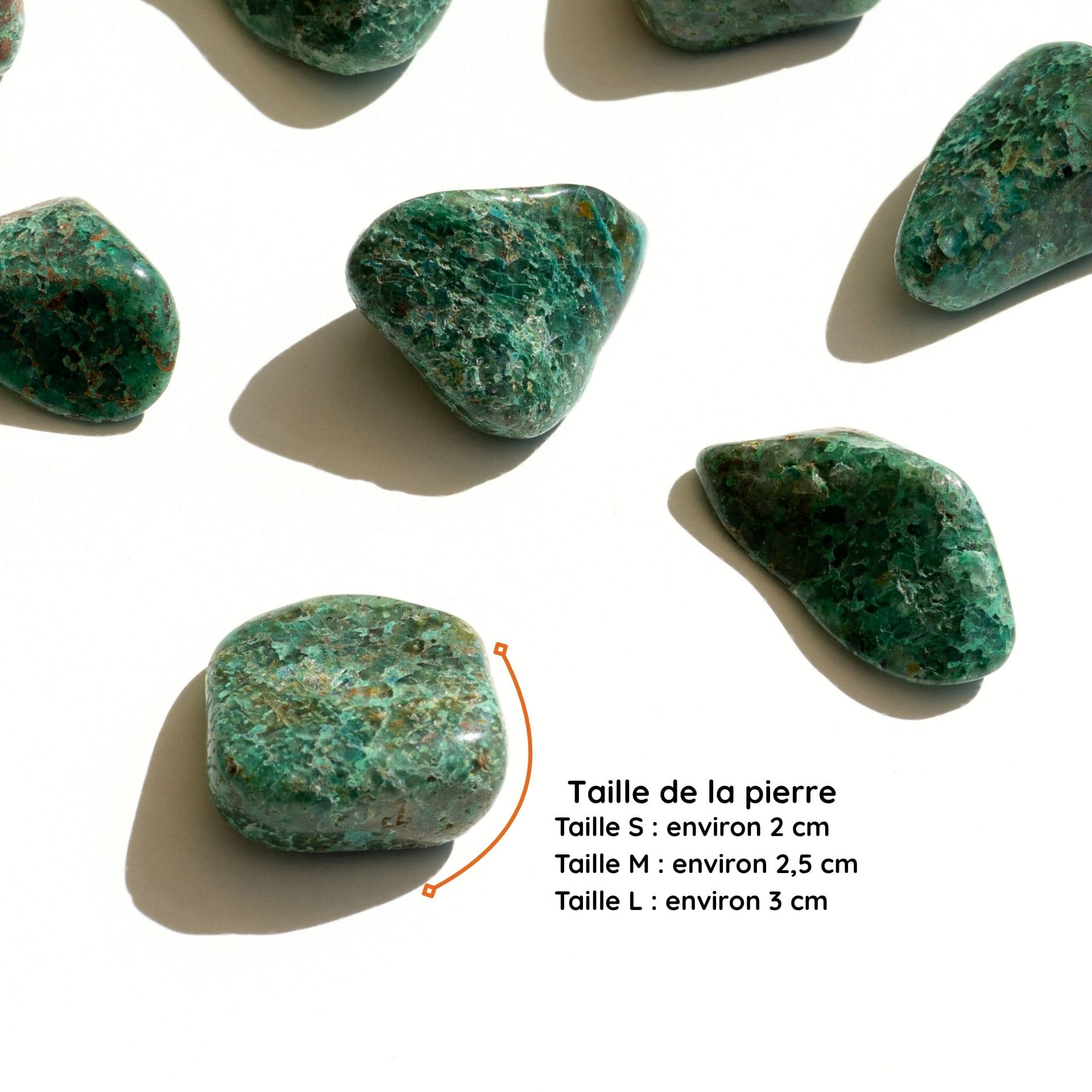 Chrysocolle taille