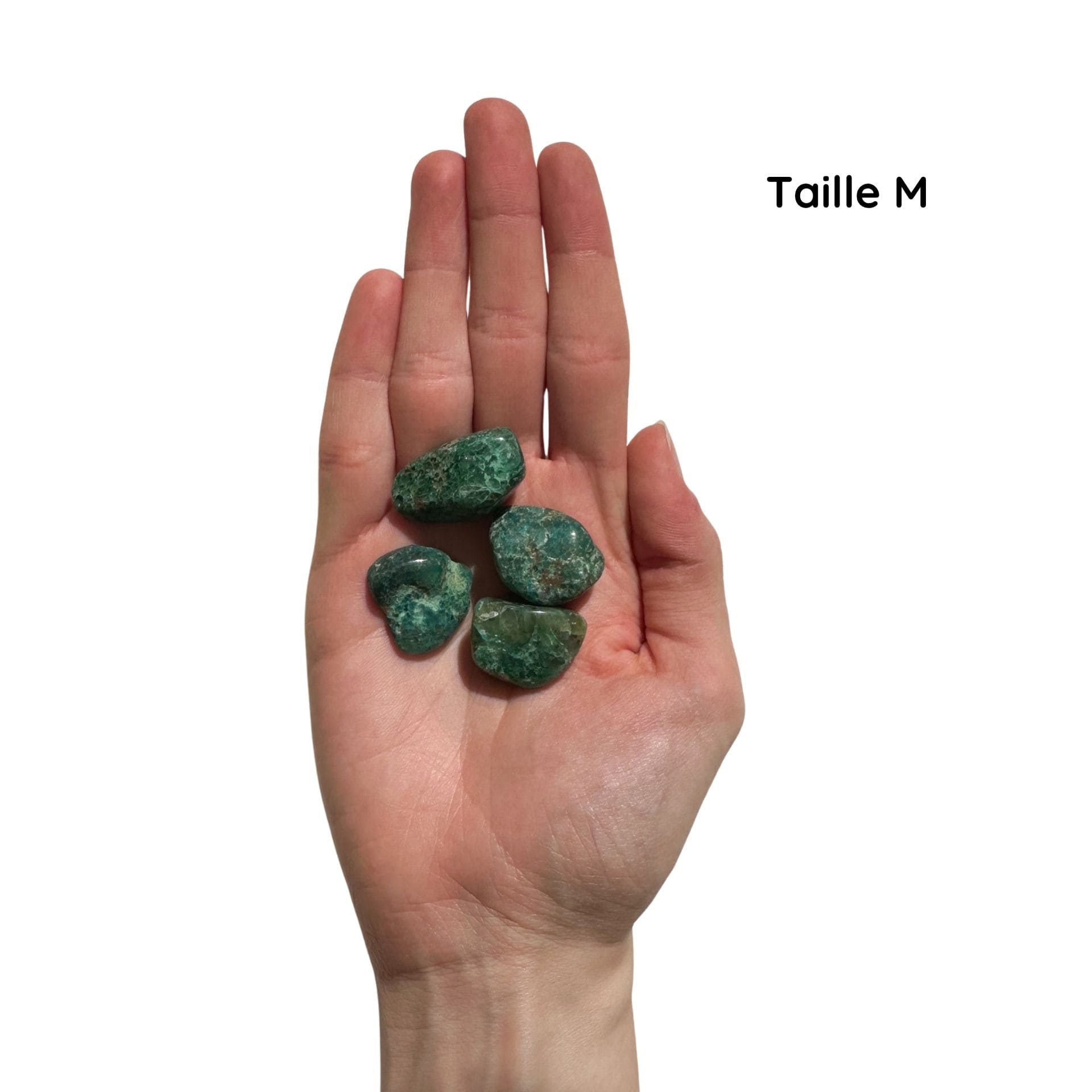 Chrysocolle taille M