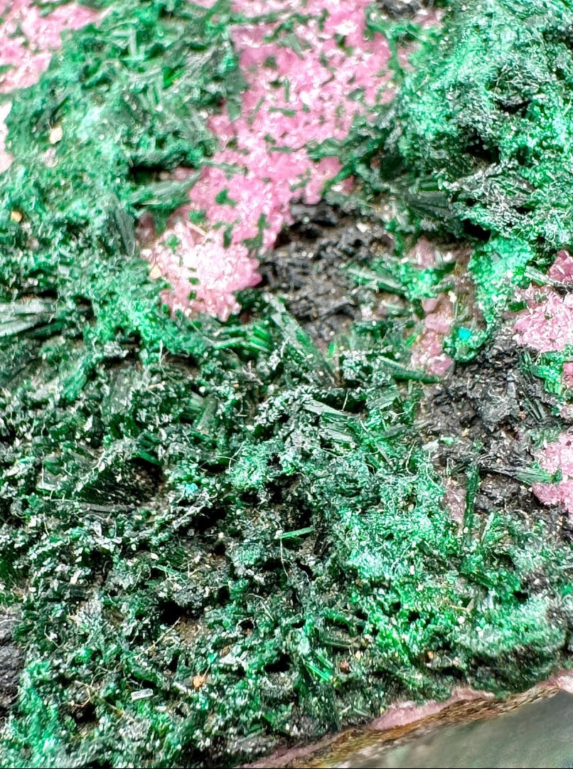 Cobaltocalcite et Malachite - Mine Mupine (RD Congo)