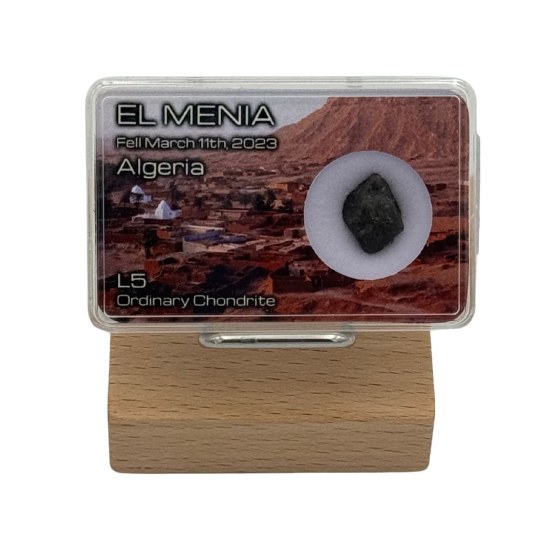 Météorite El Menia - Chute Récente de 2023 (L5)