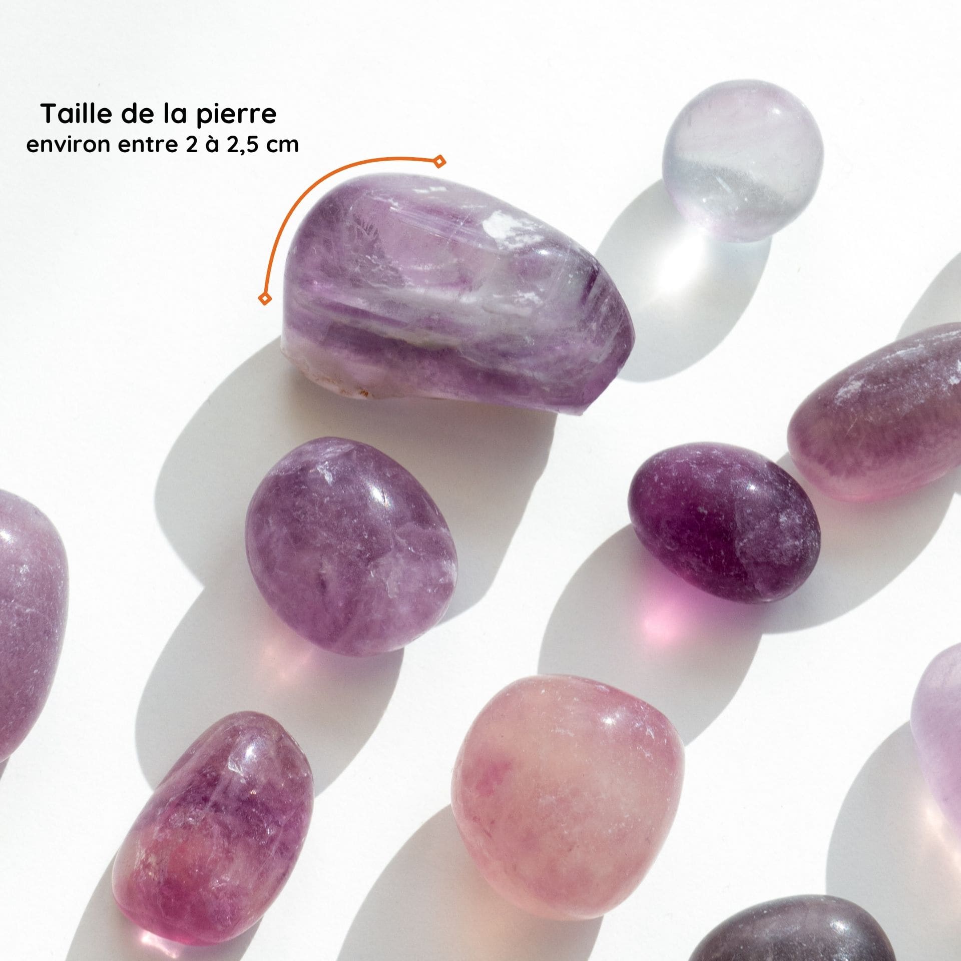 Fluorine violette taille