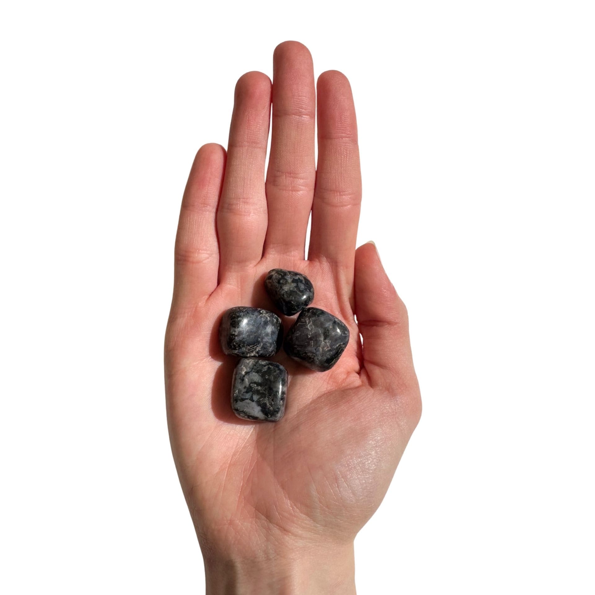 Gabbro mains