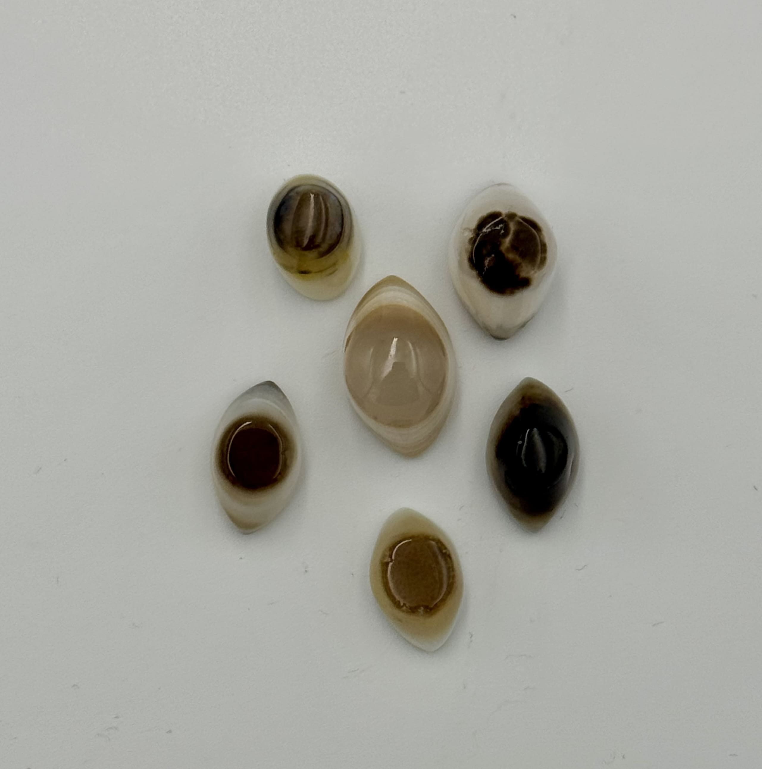 Pierre roulée Agate cyclope – Discernement et Protection Douce
