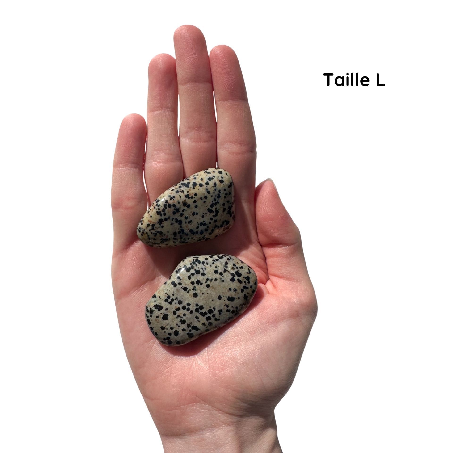 Jaspe Dalmatien taille L