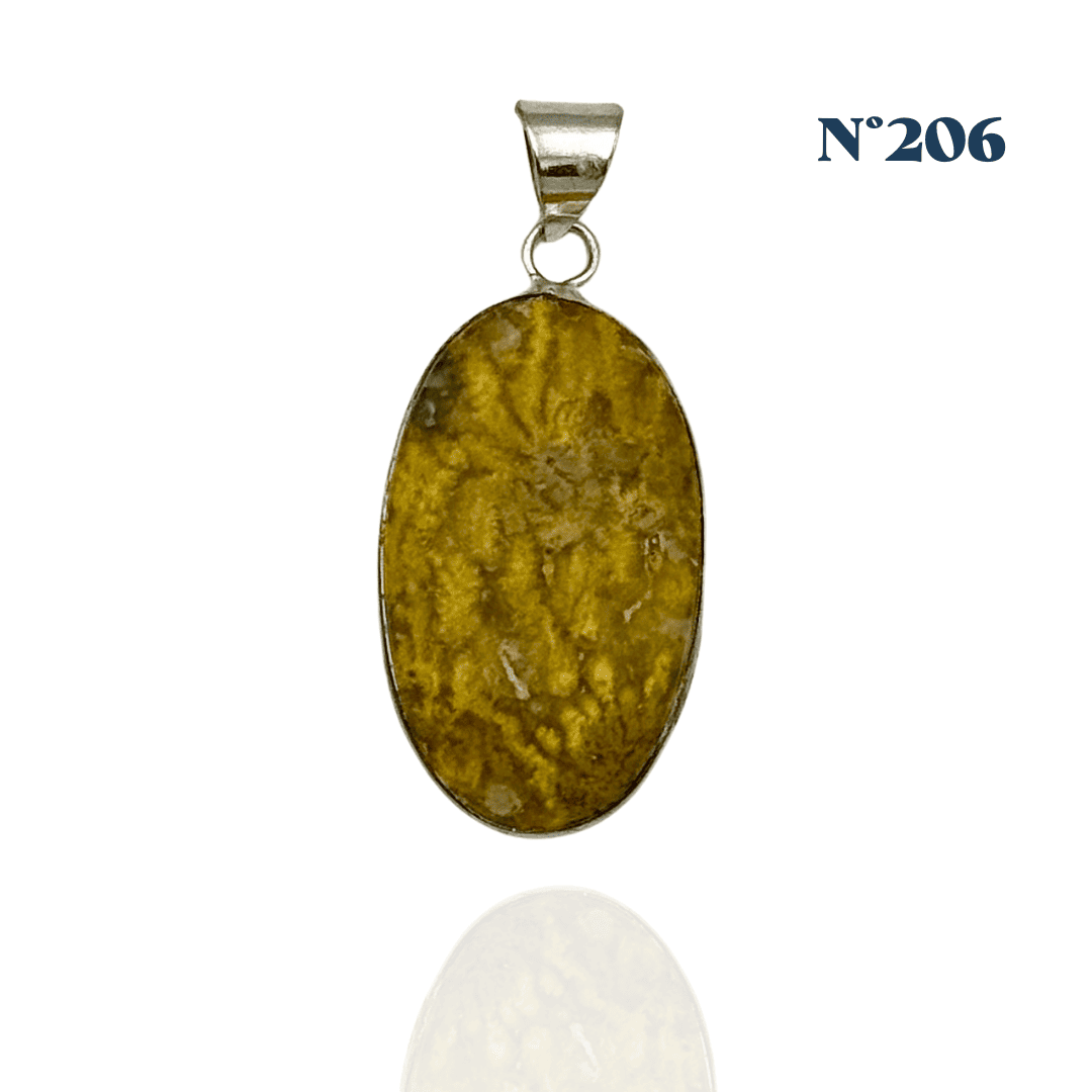 Pendentif en Jaspe Bumblebee – Énergie et Détermination