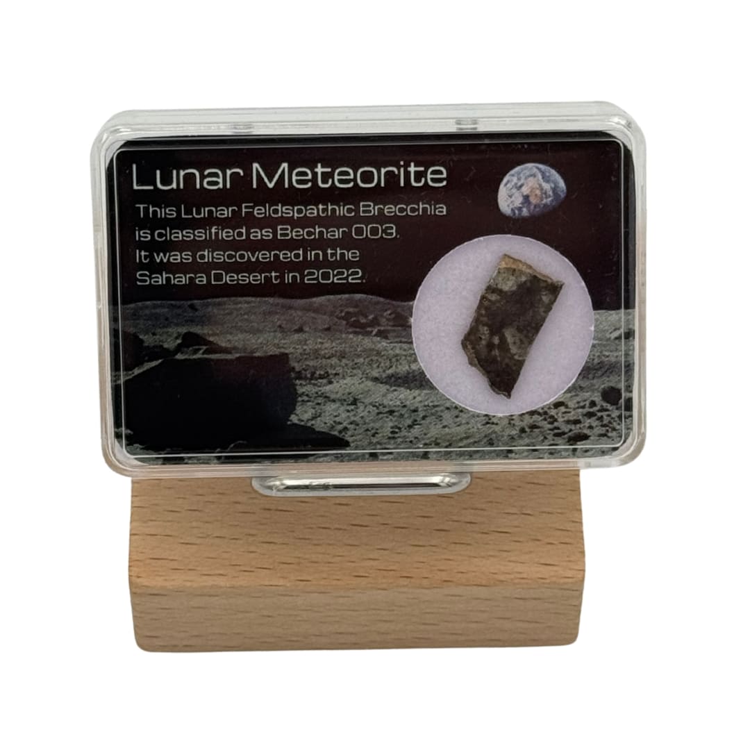 Fragment de Météorite Lunaire - Bechar 003 (Brèche)