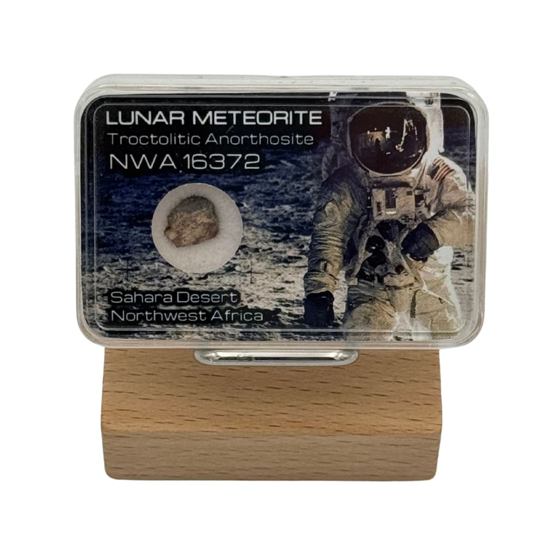 Fragment de Météorite Lunaire - NWA 16372 (Anorthosite)