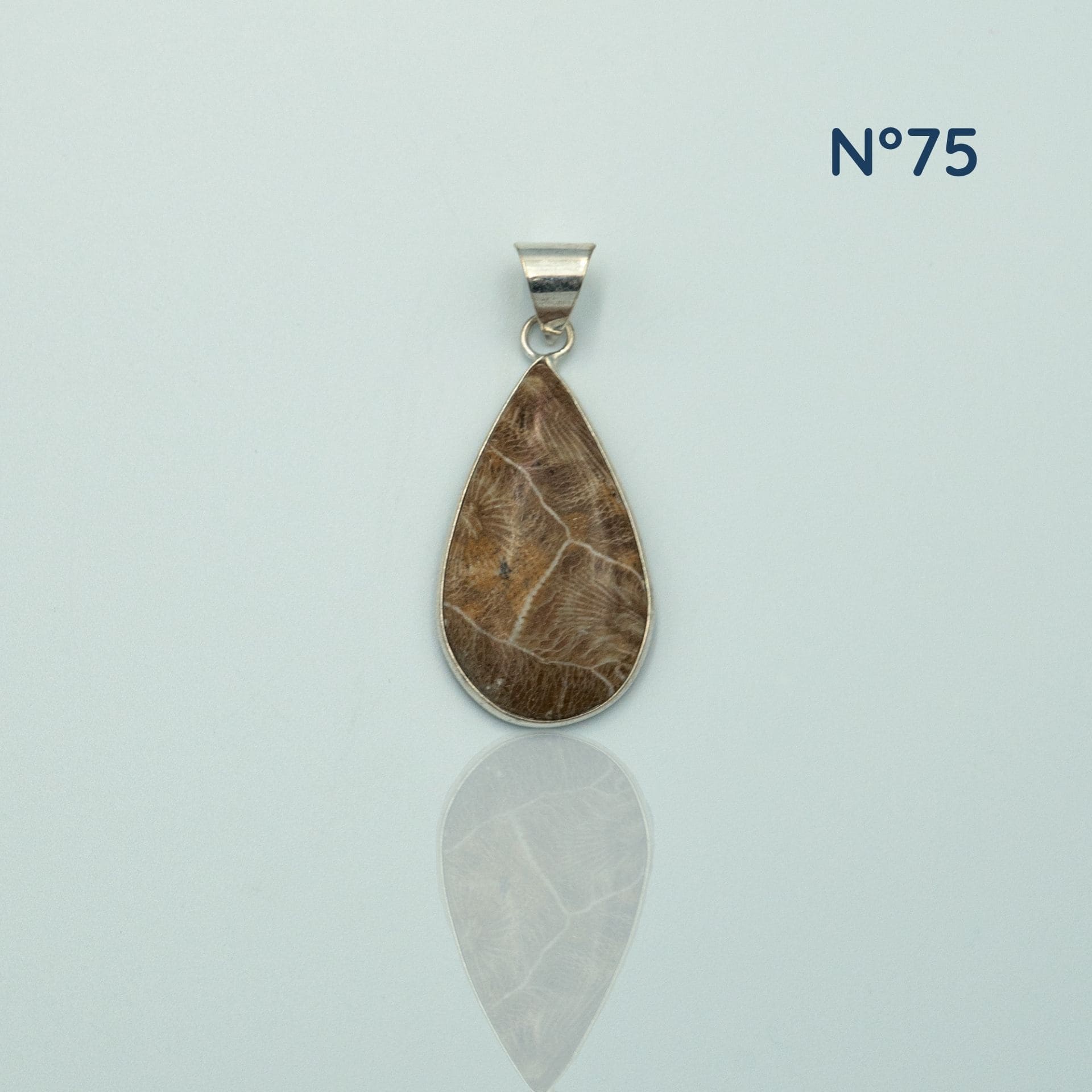 Pendentif Corail Fossile Maroc — Ancrage & Vitalité Naturelle