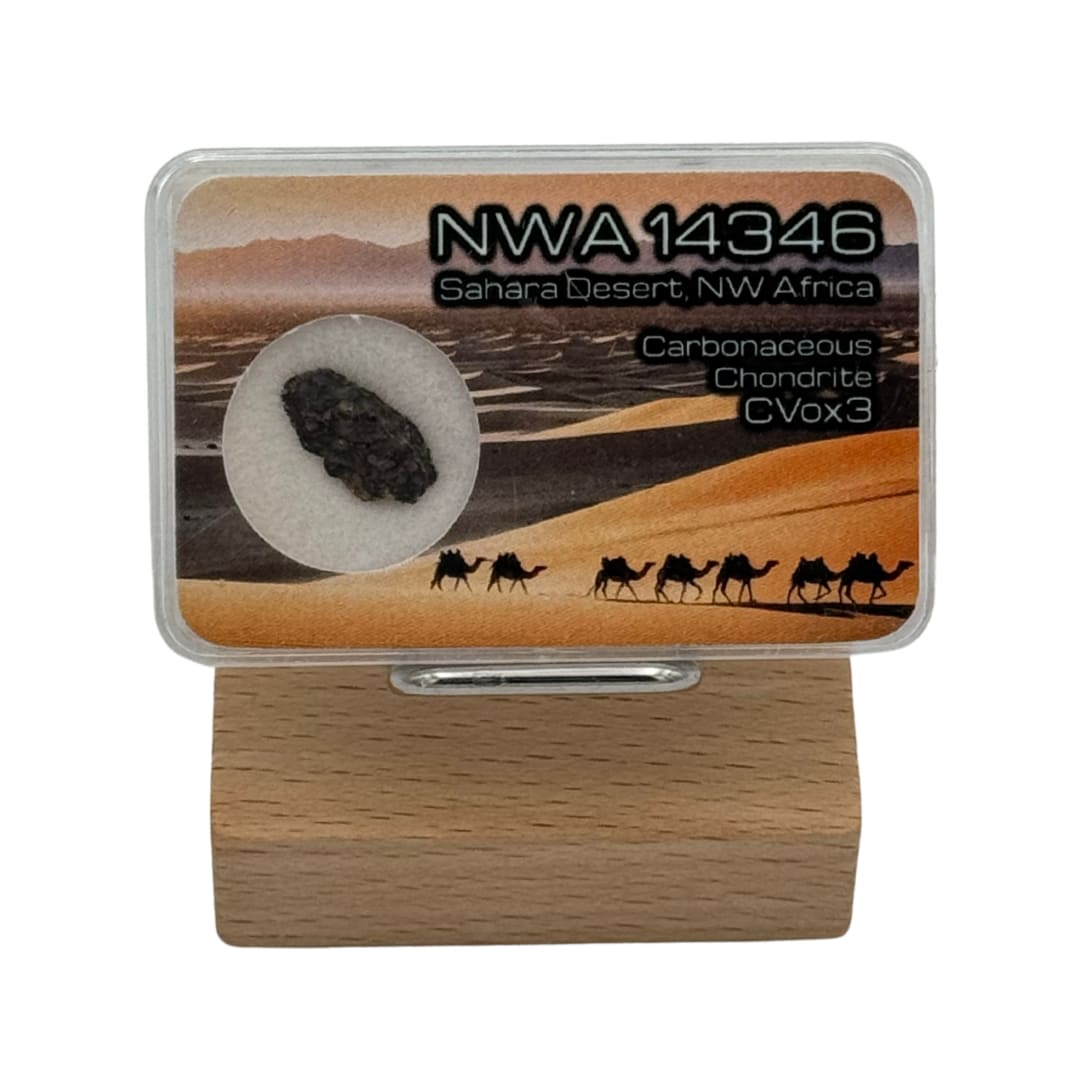 Météorite NWA 14346 - Chondrite Carbonée (CVox3)