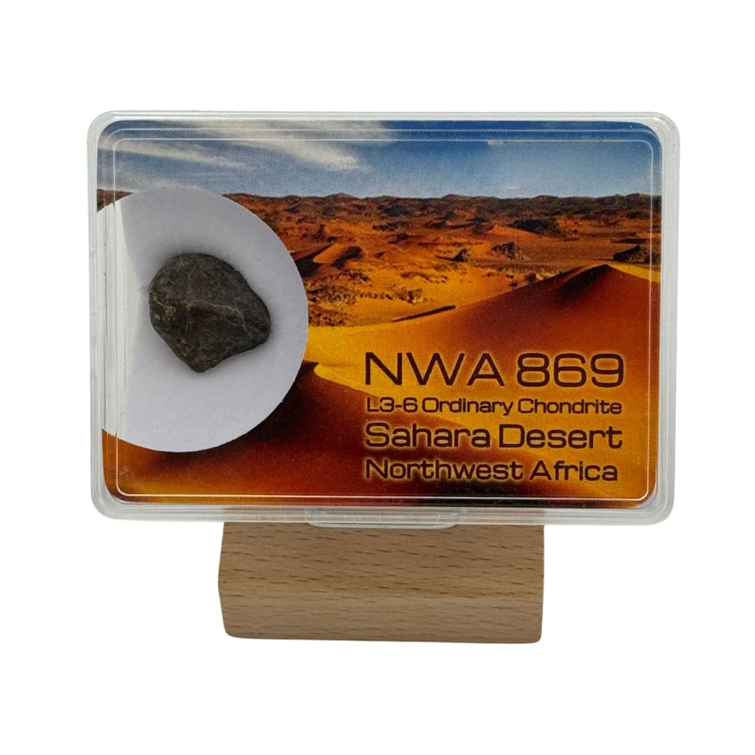 Météorite NWA 869 - Chondrite Bréchique L3-6 (Sahara)