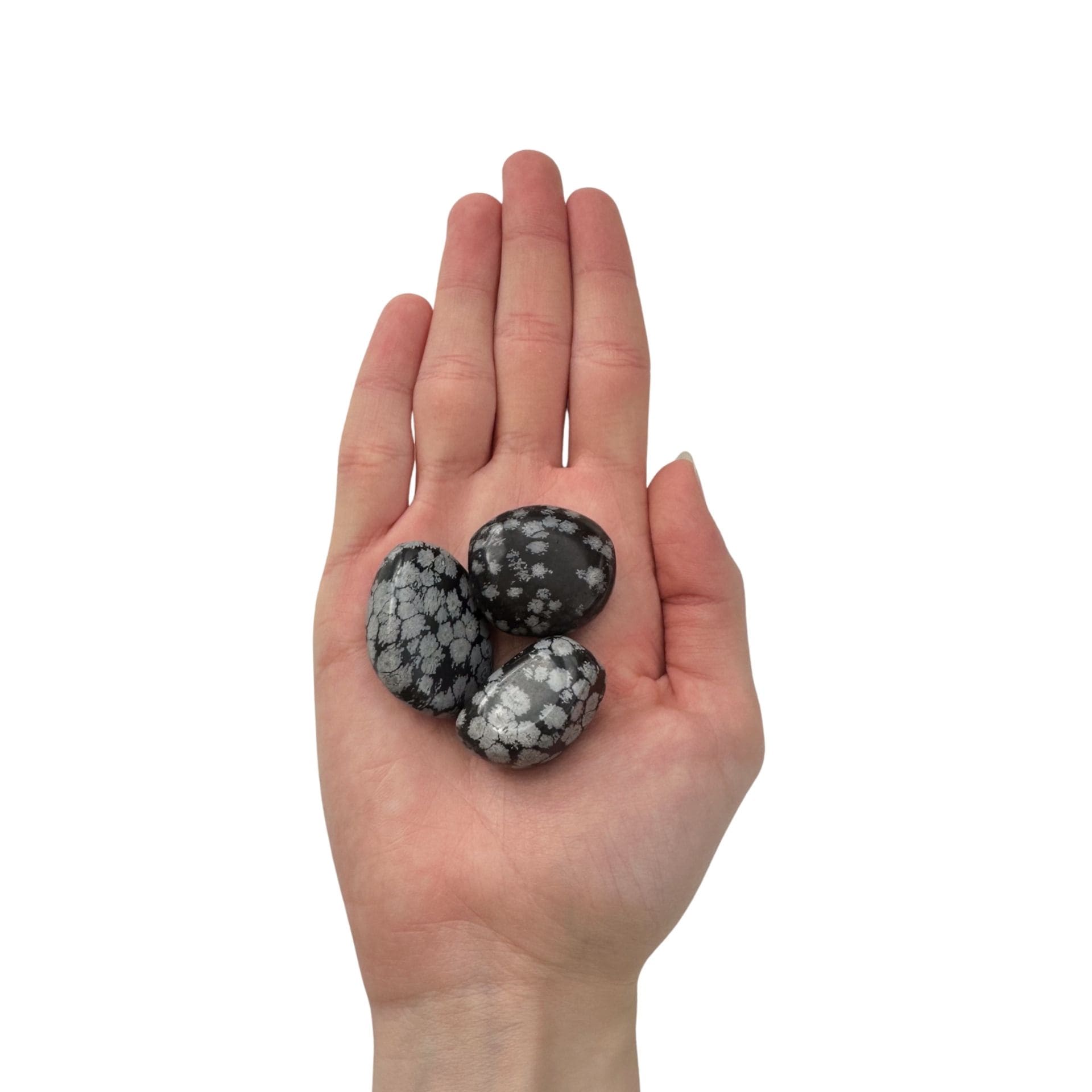 Obsidienne Flocon de Neige mains