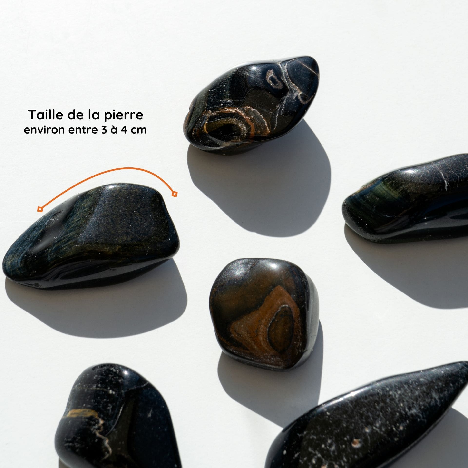 Œil de Faucon taille