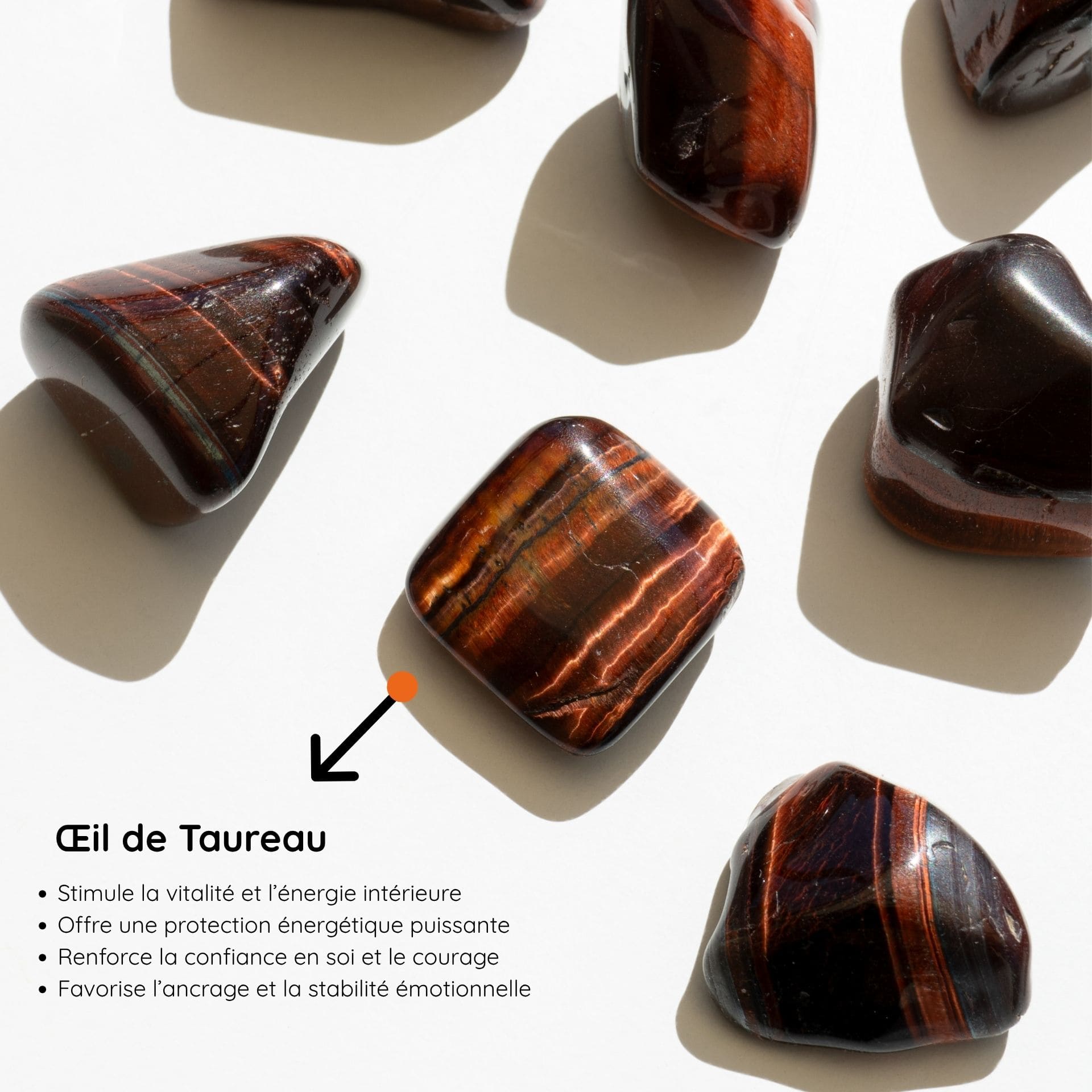 Œil de Taureau vertus