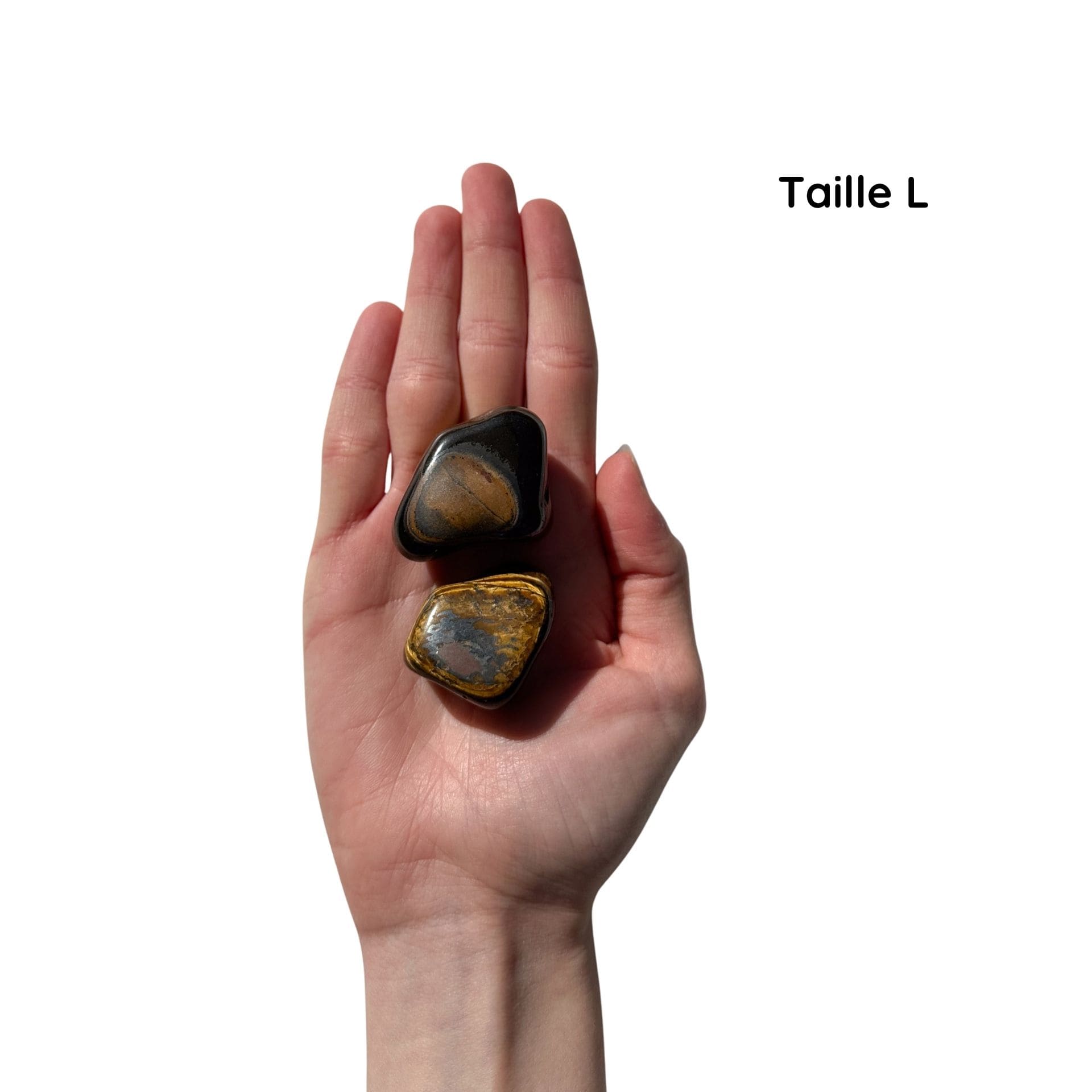 Oeil de Tigre L