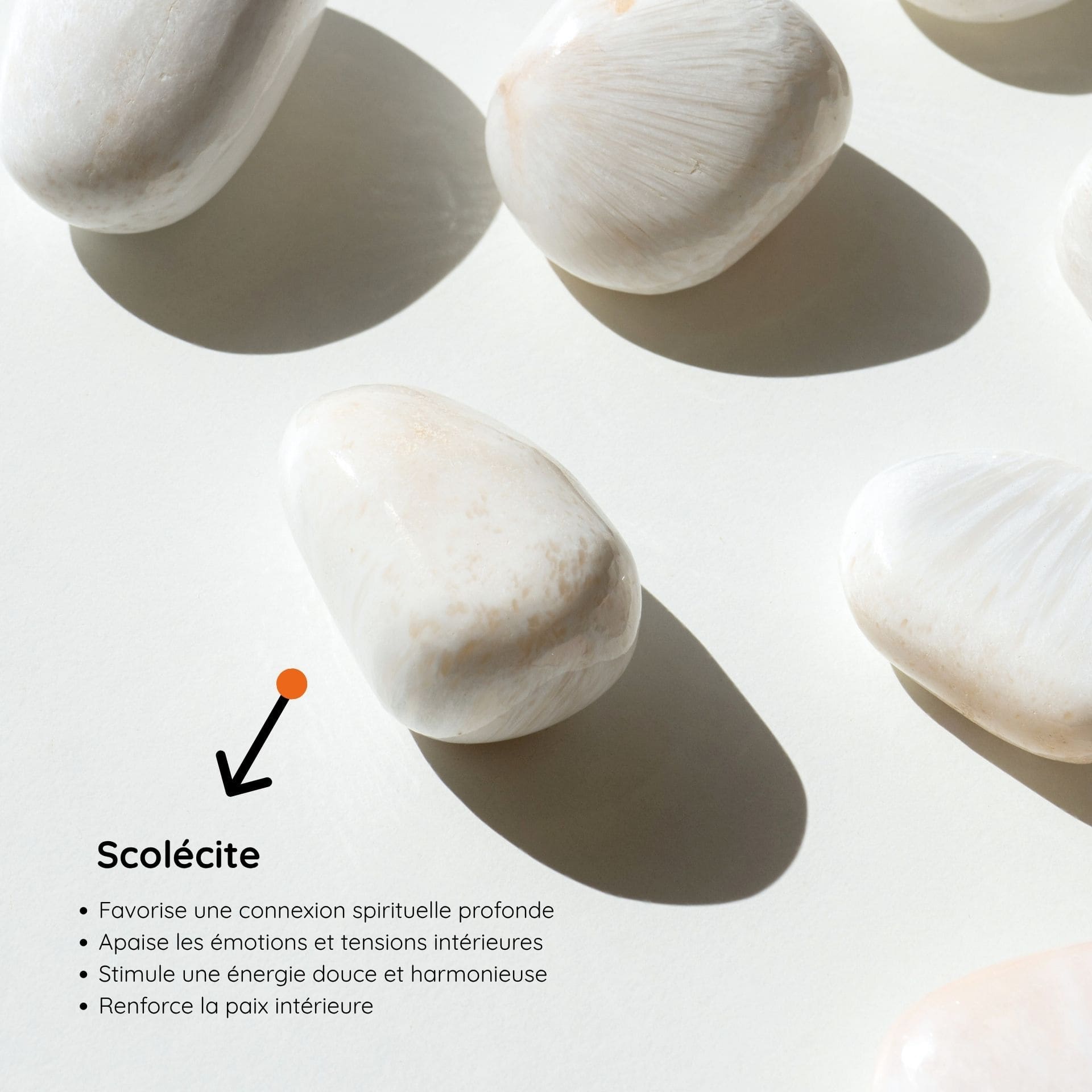 Scolécite vertus