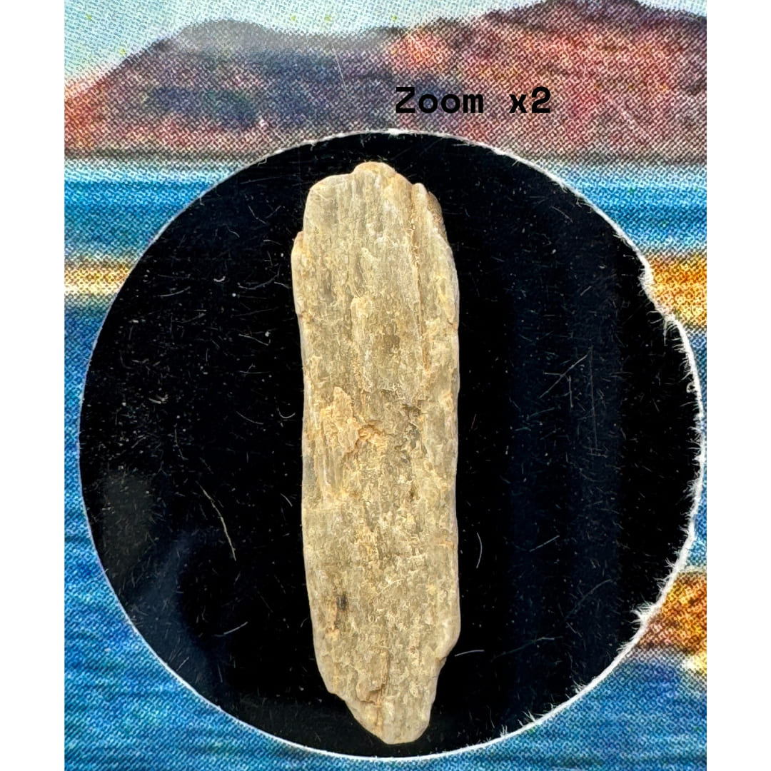 Météorite Sebkha el Melah 001 - Cristal d'Aubrite (Mali 2022)