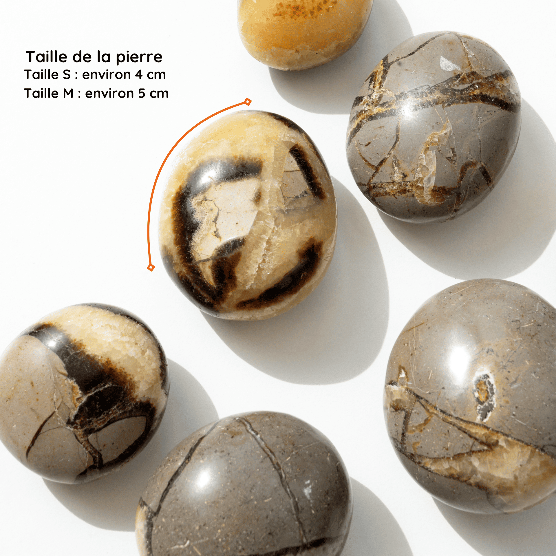 Galet Septaria taille