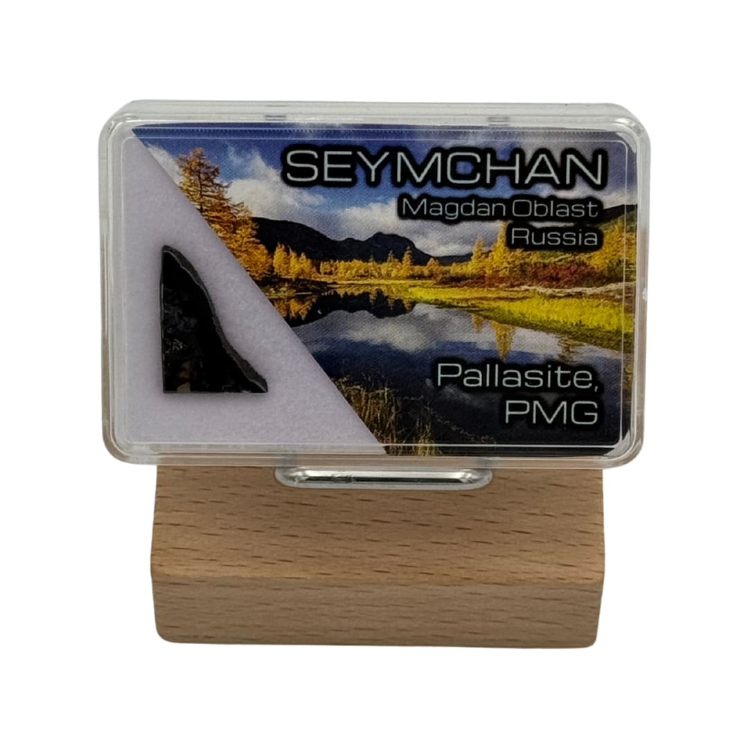 Mini Tranche de Météorite Seymchan - Pallasite de Russie