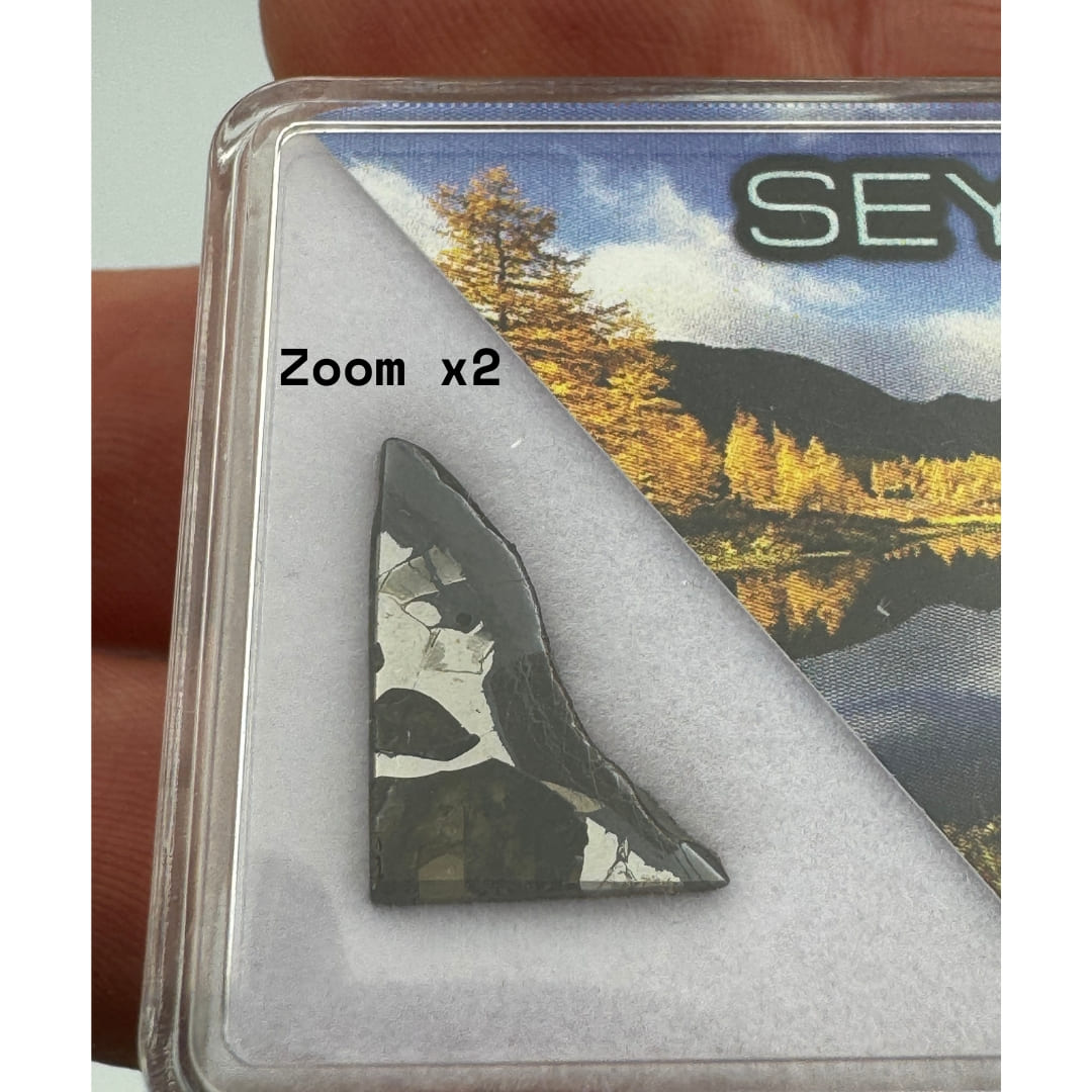 Mini Tranche de Météorite Seymchan - Pallasite de Russie