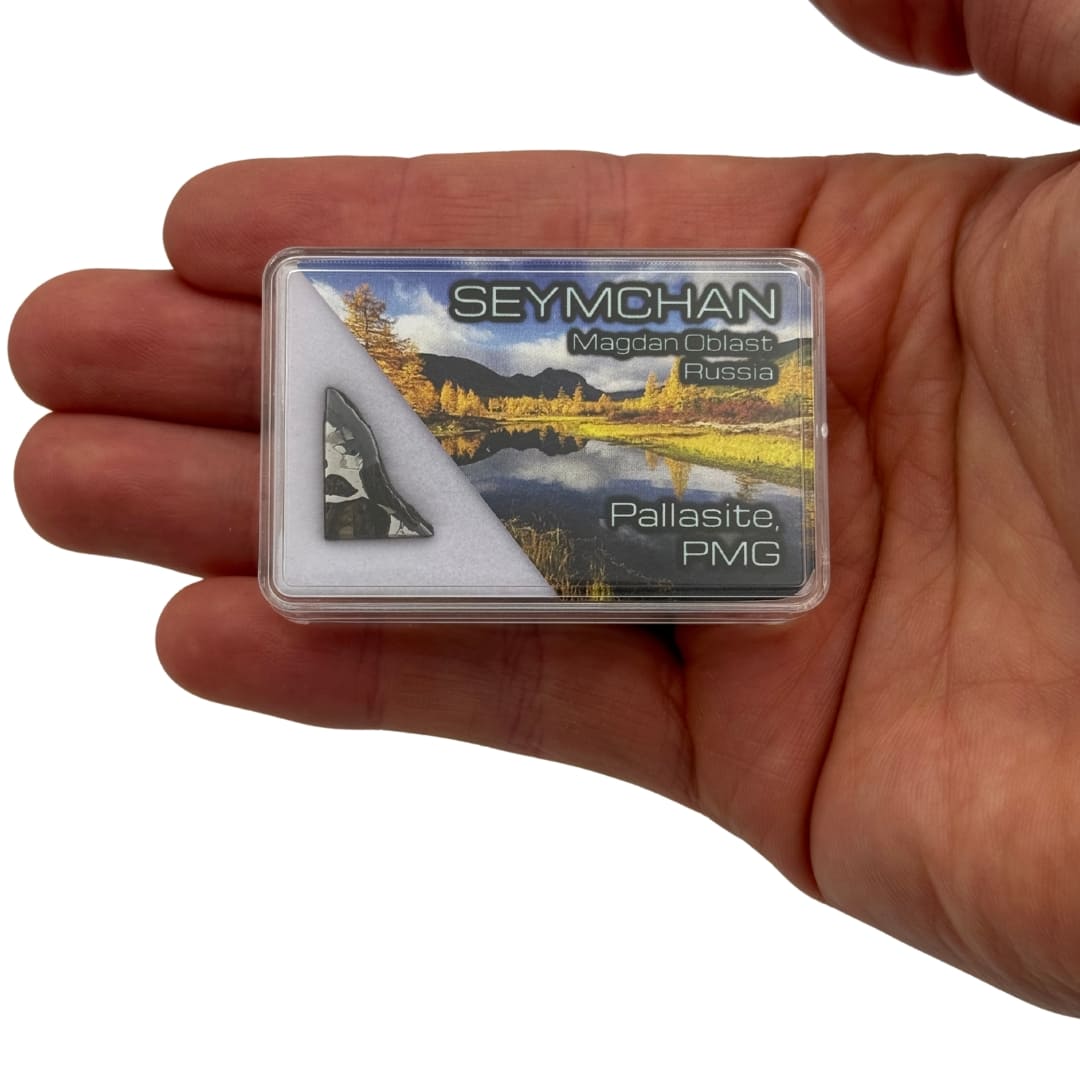 Mini Tranche de Météorite Seymchan - Pallasite de Russie