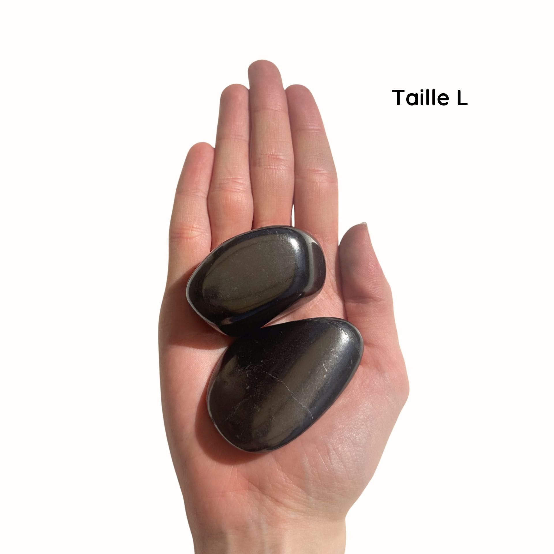 Shungite L