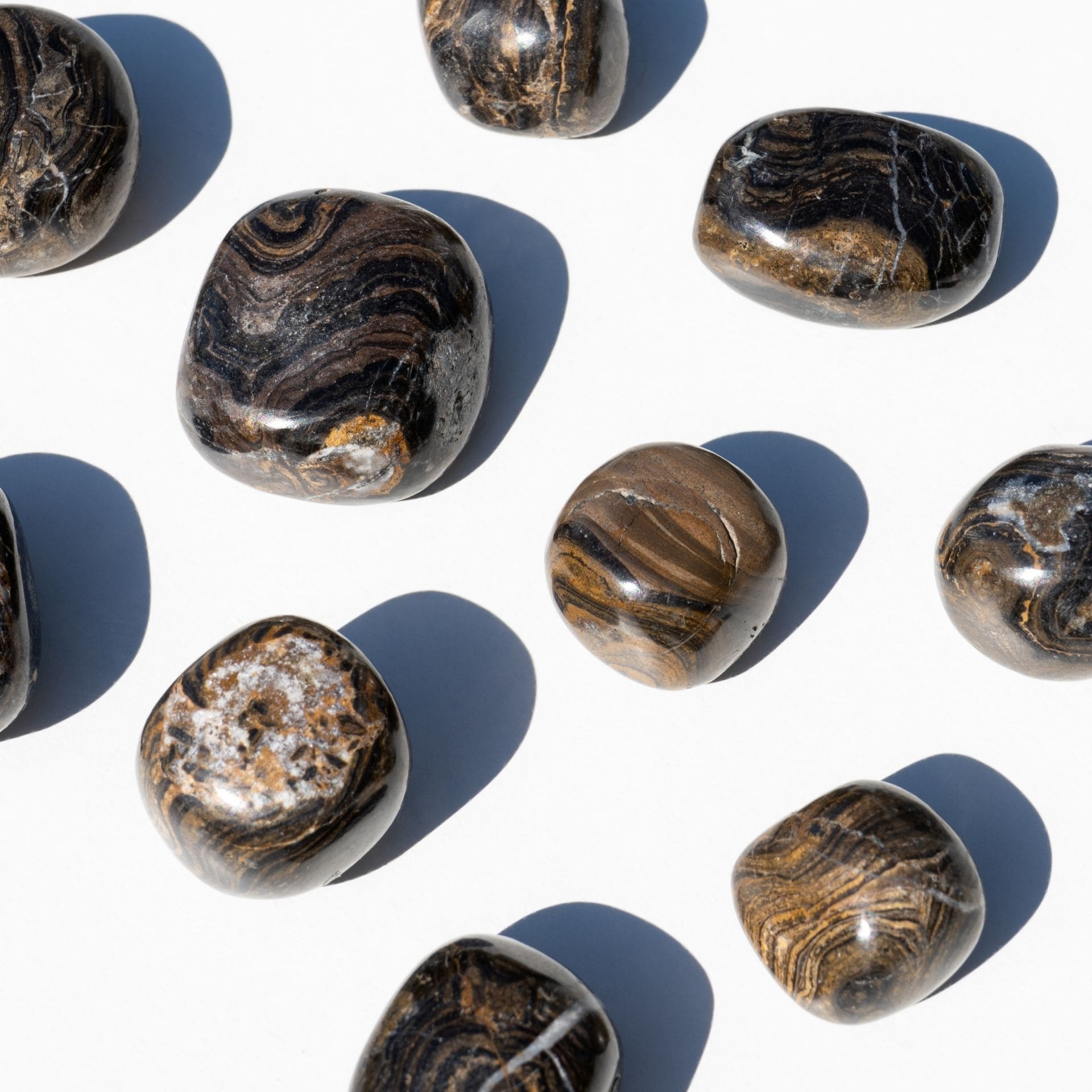 Stromatolite zoom