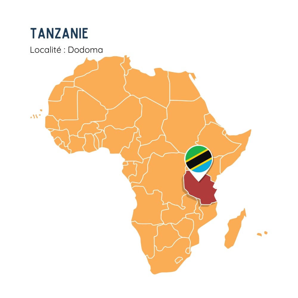 Zircon de Tanzanie