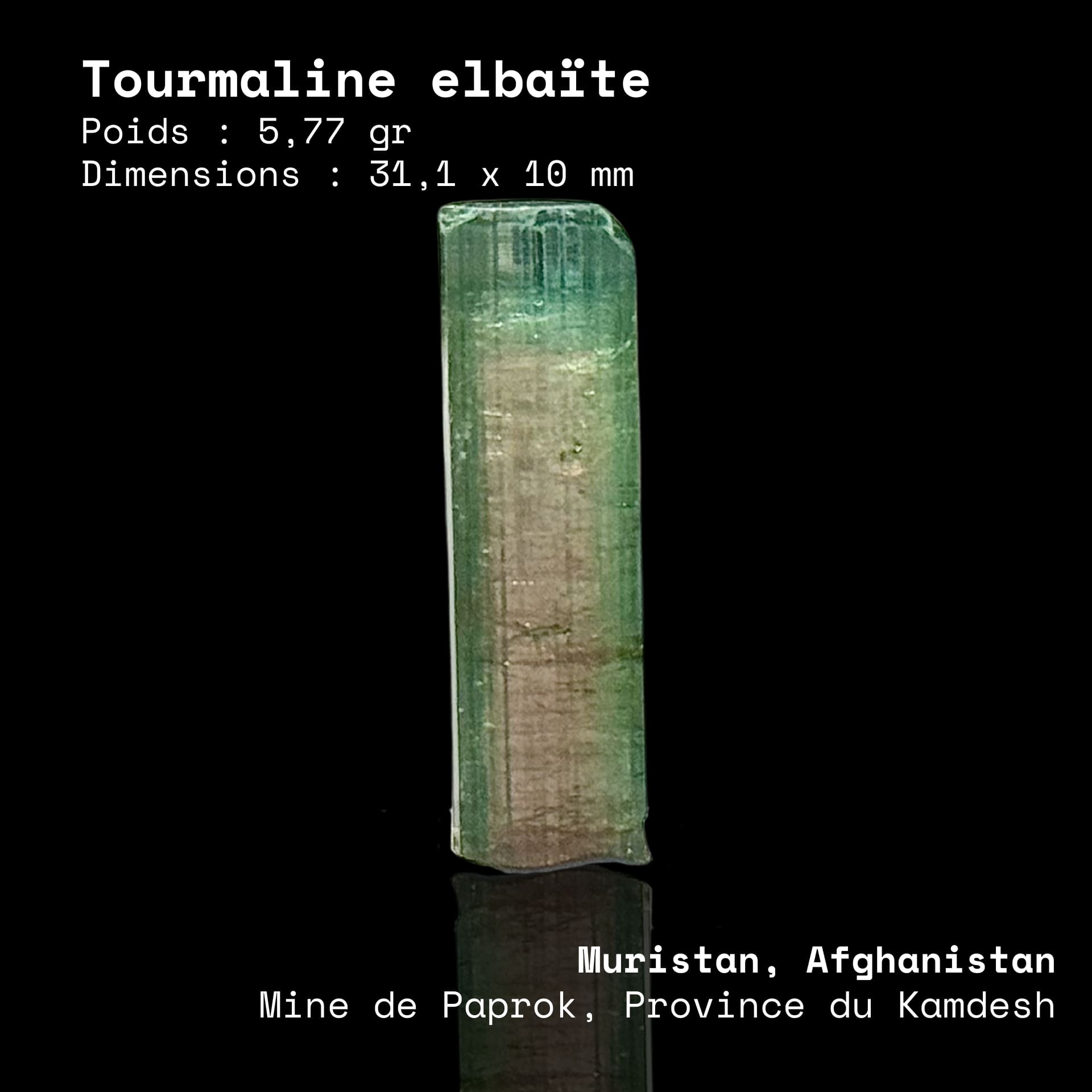 Tourmaline Elbaïte Watermelon (5,77g) - Paprok