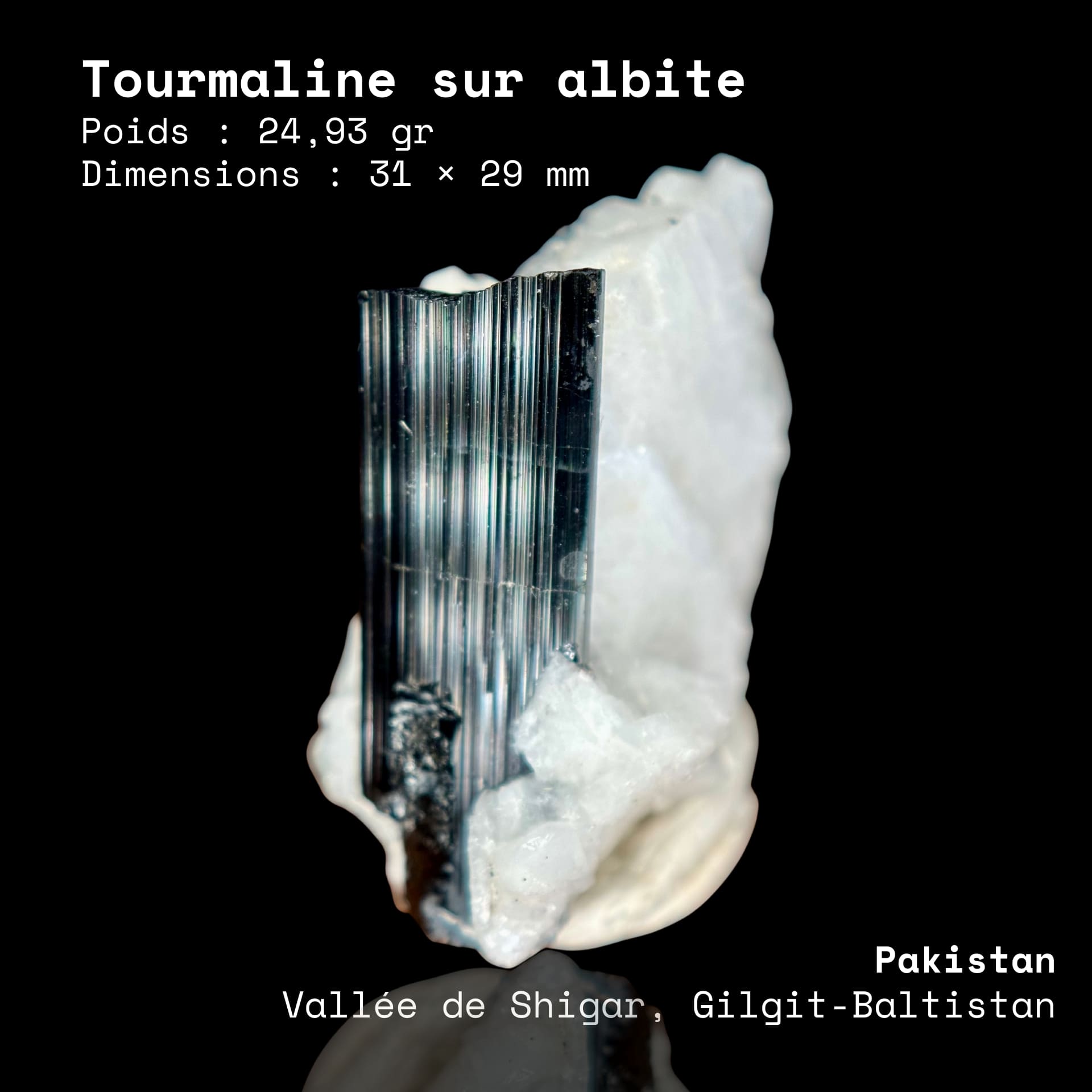 Tourmaline sur albite N°30