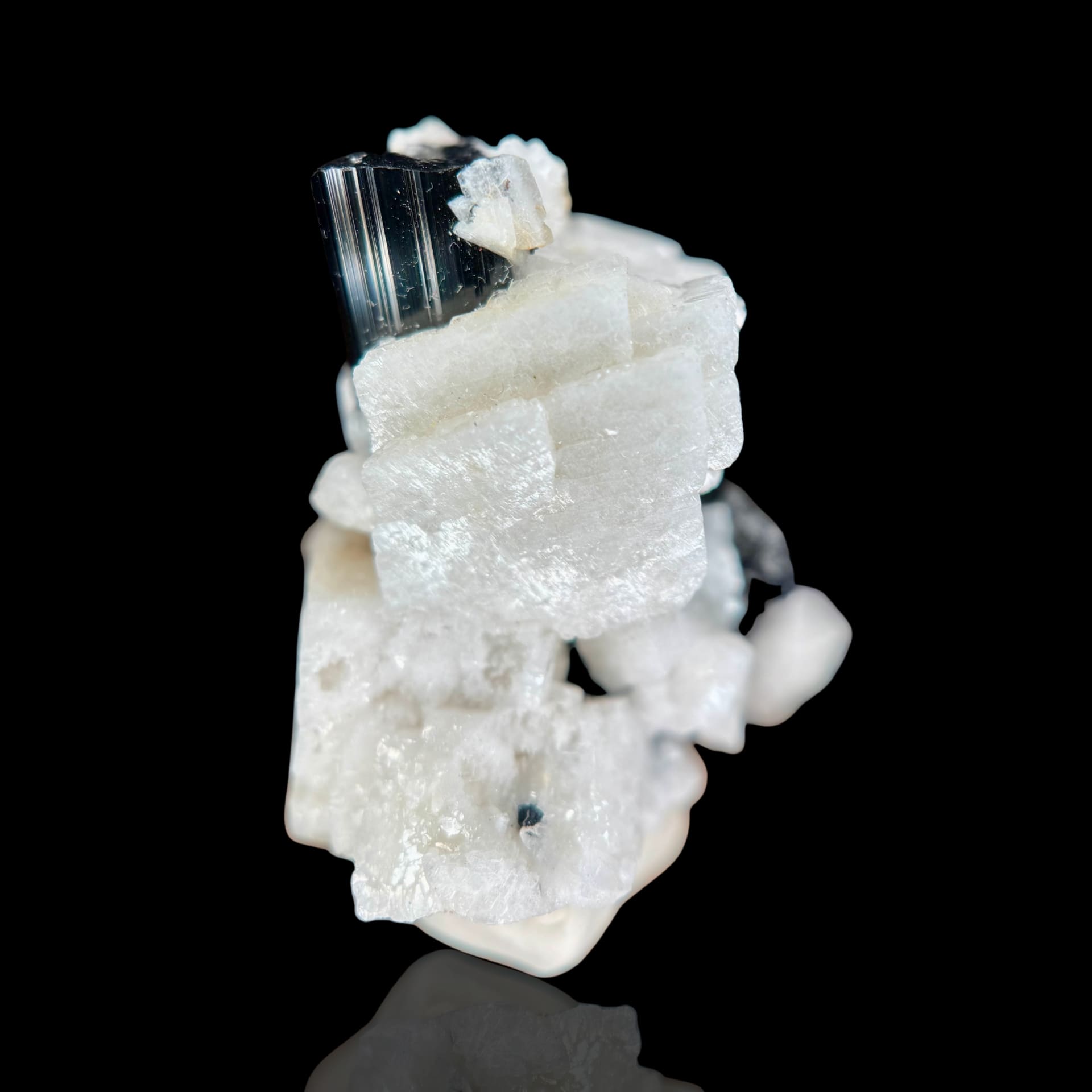 Tourmaline sur albite N°29