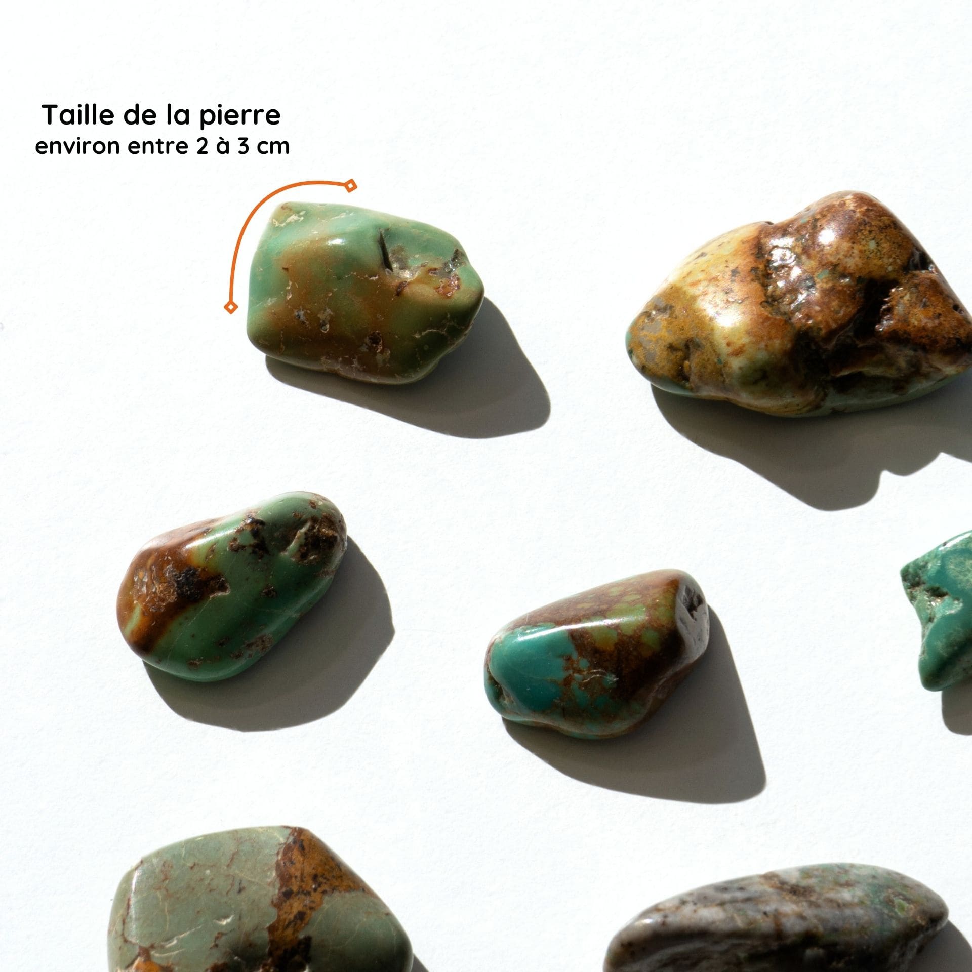 Turquoise roulée taille