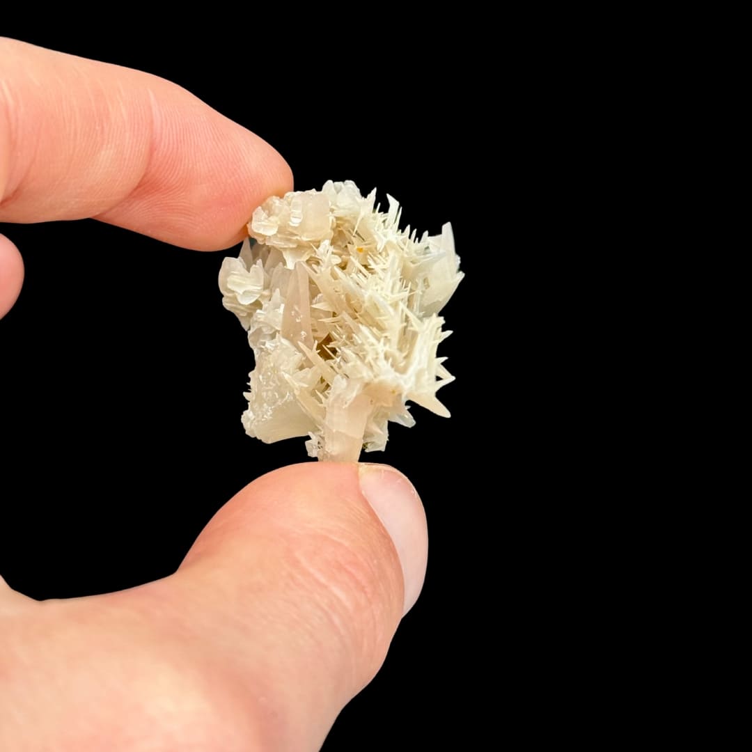 Cérussite et Wulfénite - Mine de Nakhlak #99