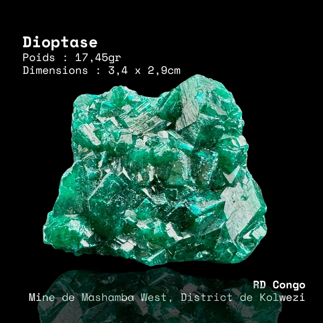 Dioptase Verte Émeraude - Mashamba West (RD Congo)