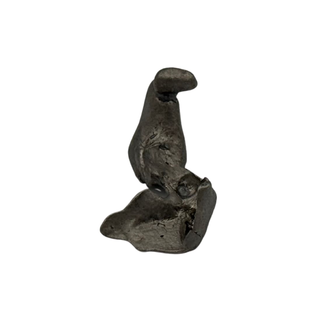 Météorite Campo del Cielo - Fragment de Fer (Argentine)